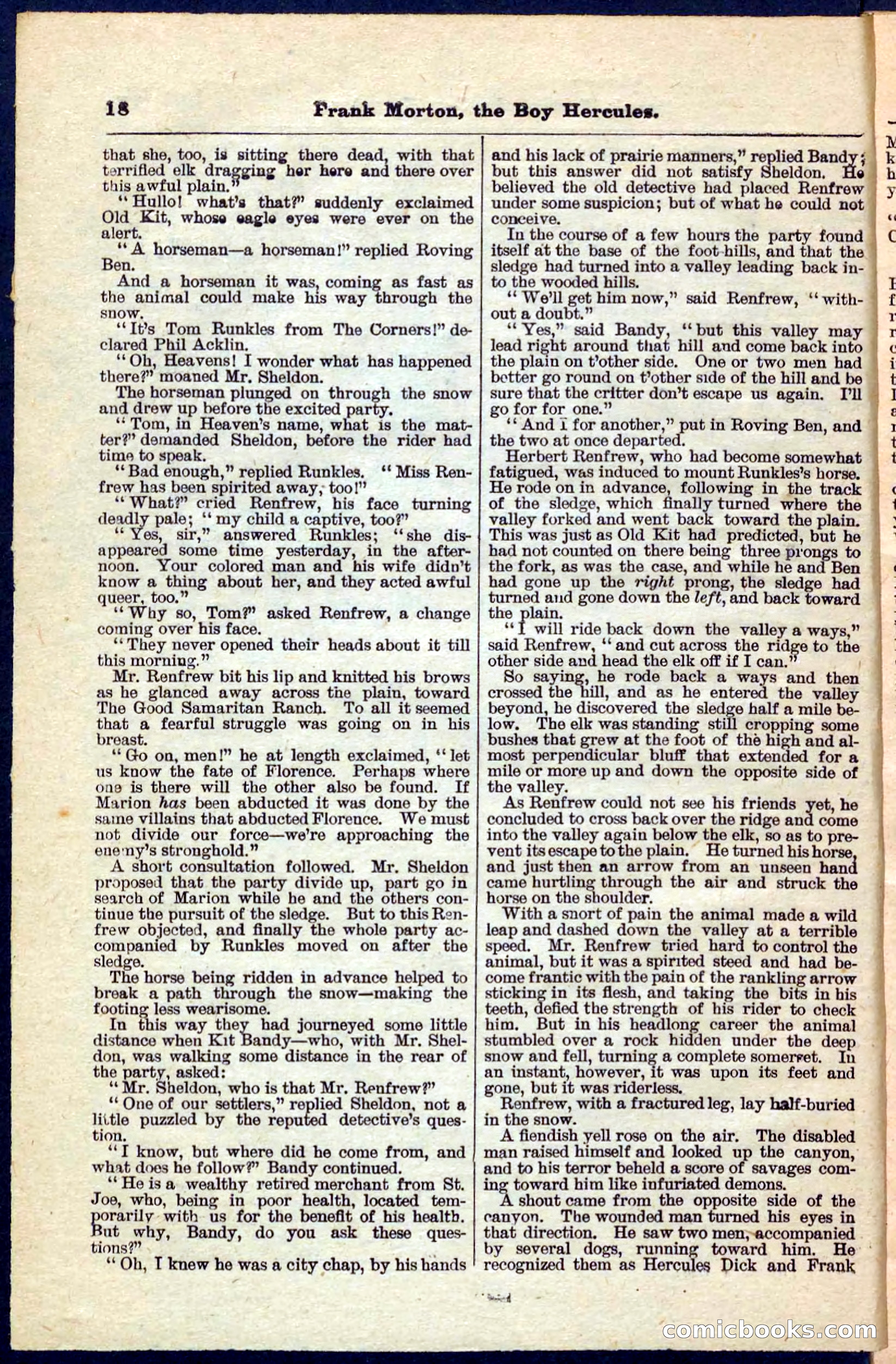 Beadle's Pocket Library No. 171 — page 18 of 32
