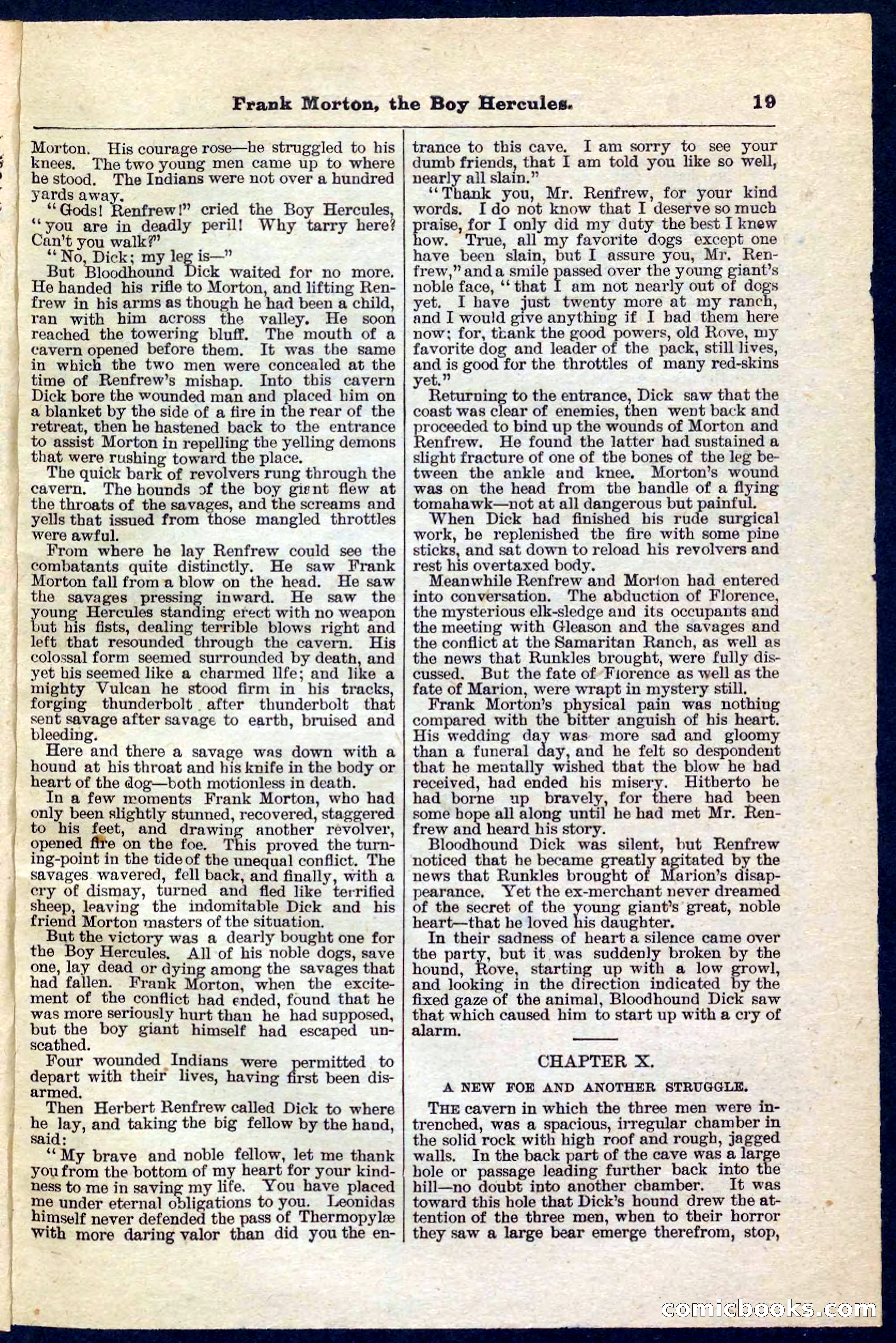 Beadle's Pocket Library No. 171 — page 19 of 32