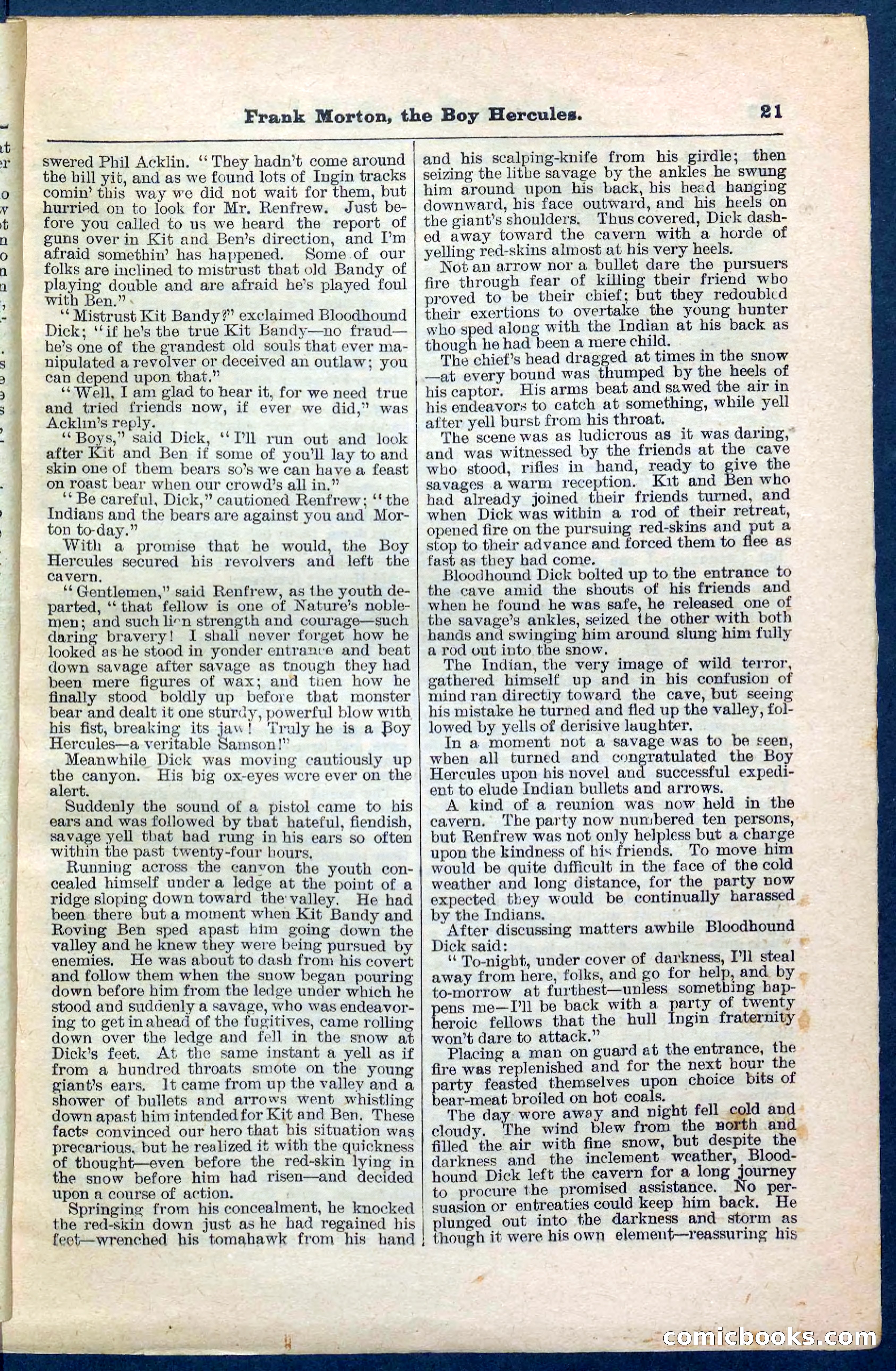 Beadle's Pocket Library No. 171 — page 21 of 32