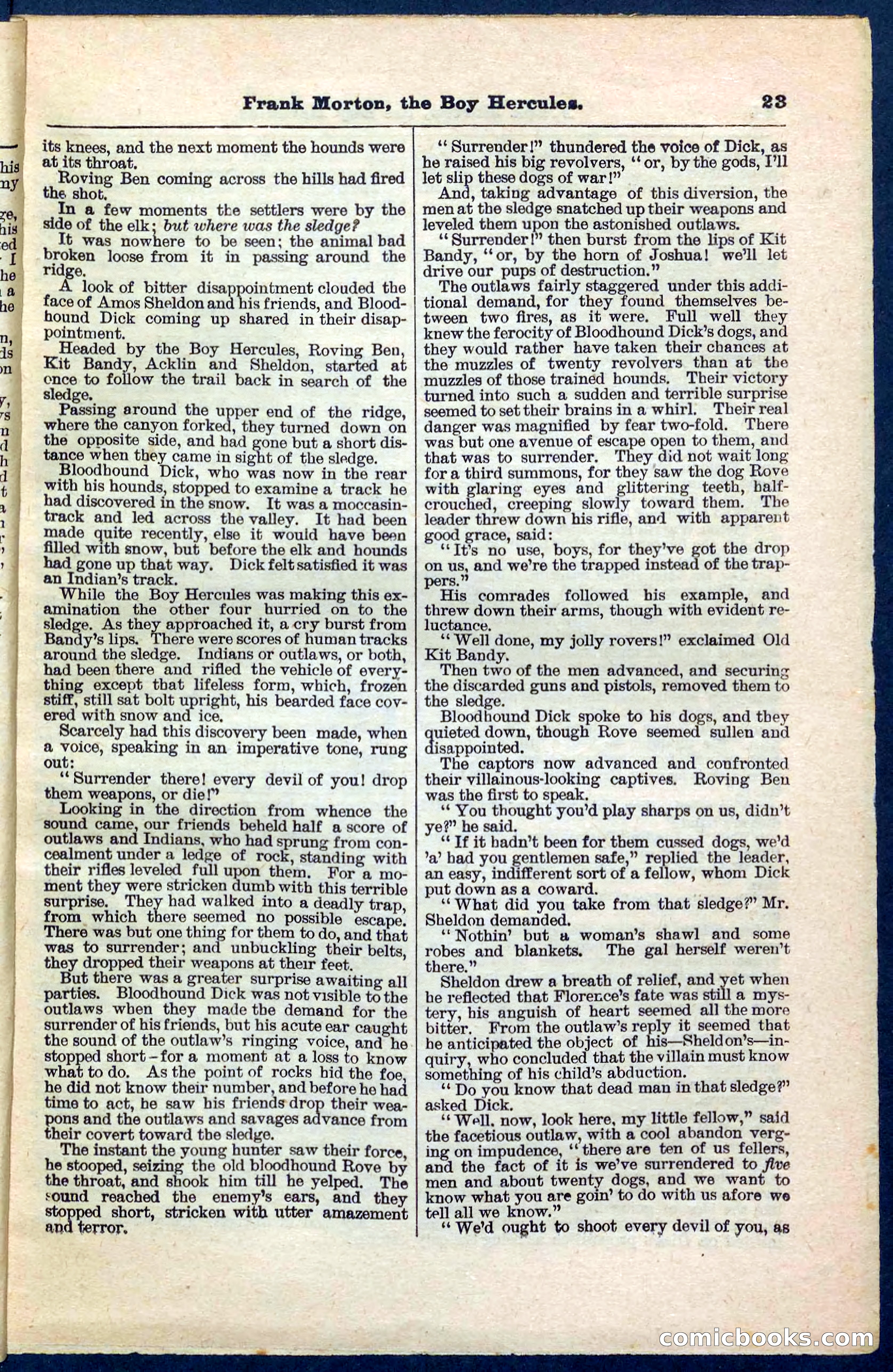 Beadle's Pocket Library No. 171 — page 23 of 32