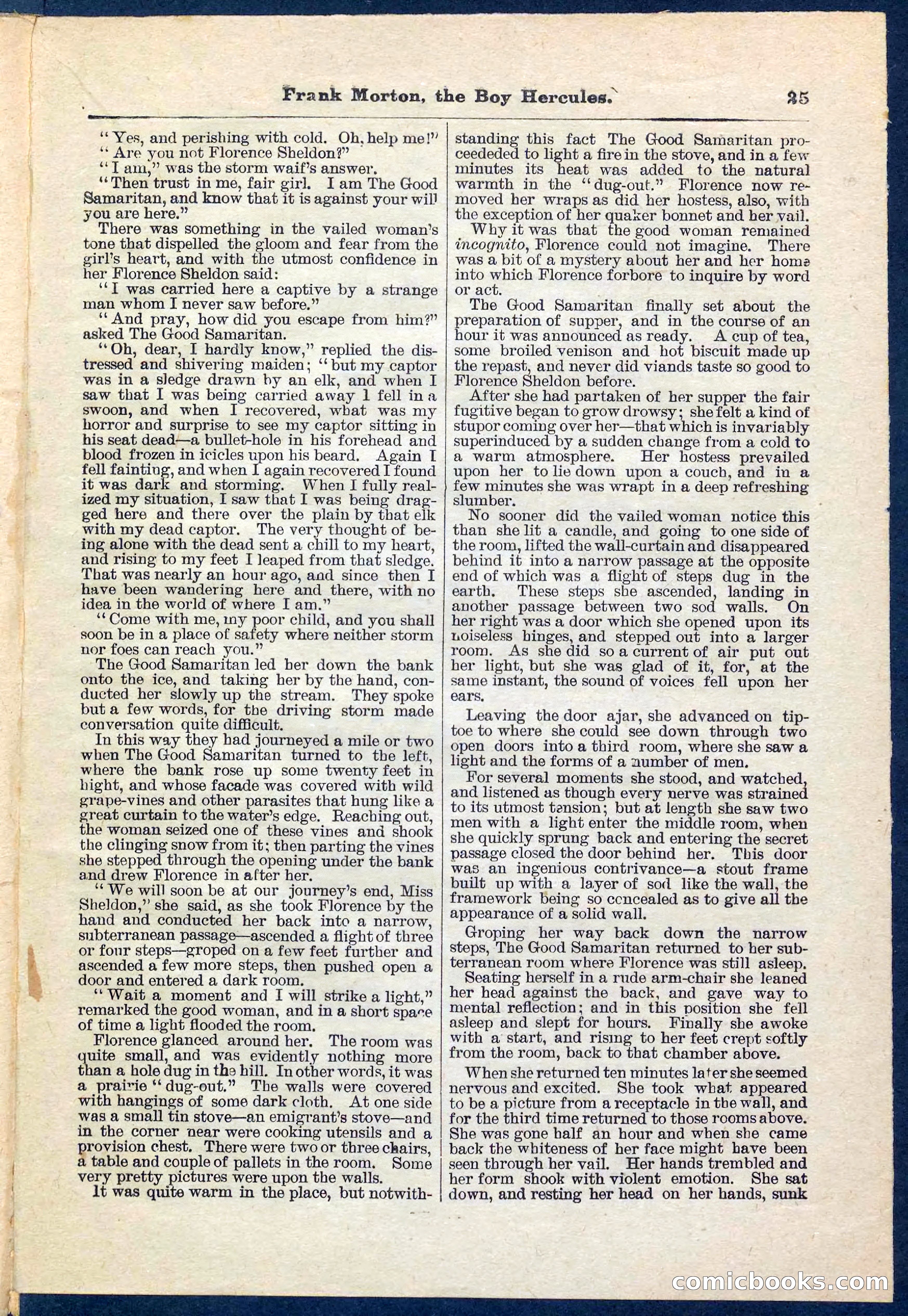 Beadle's Pocket Library No. 171 — page 25 of 32
