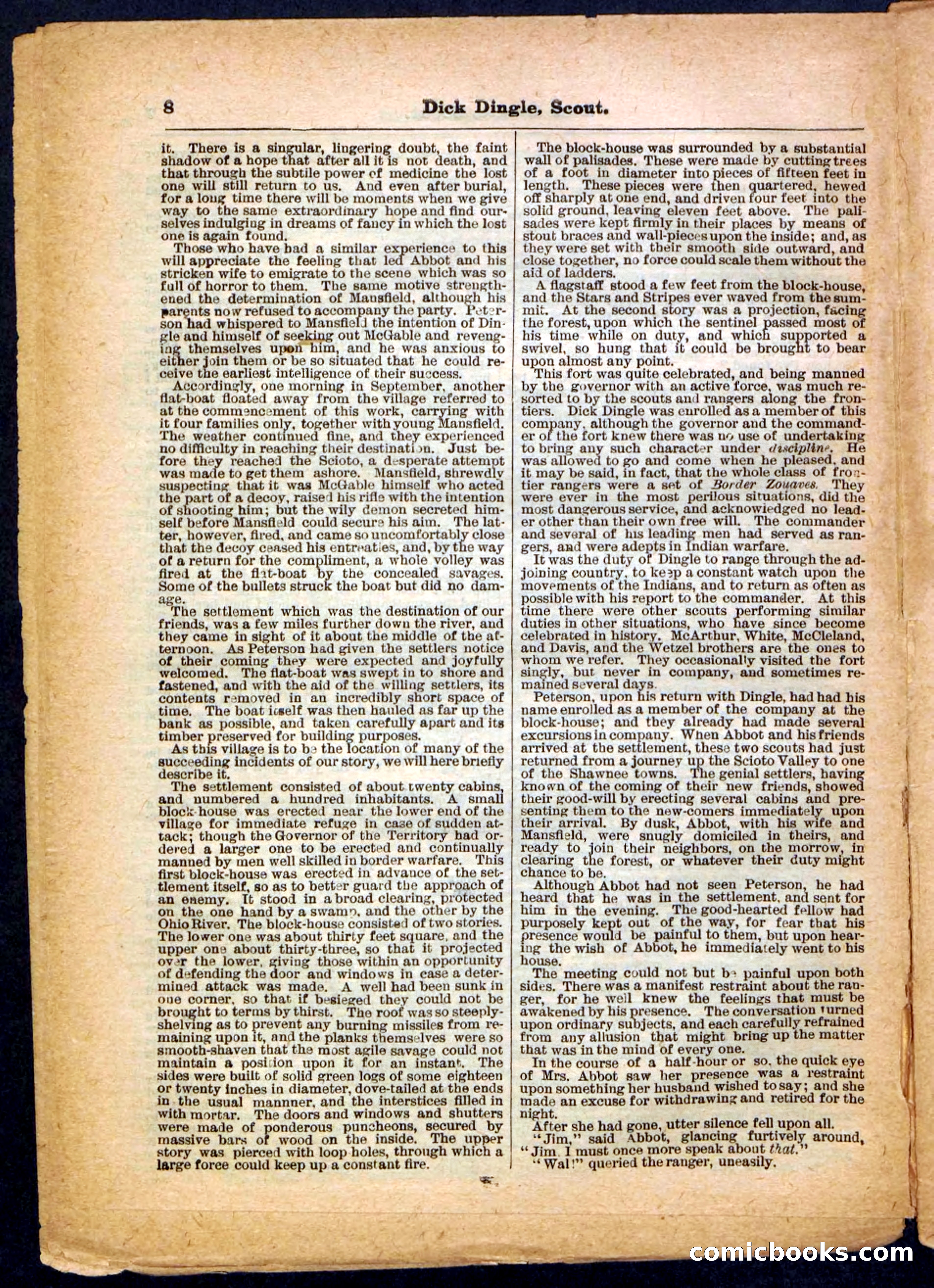 Beadle's Pocket Library No. 173 — page 8 of 32