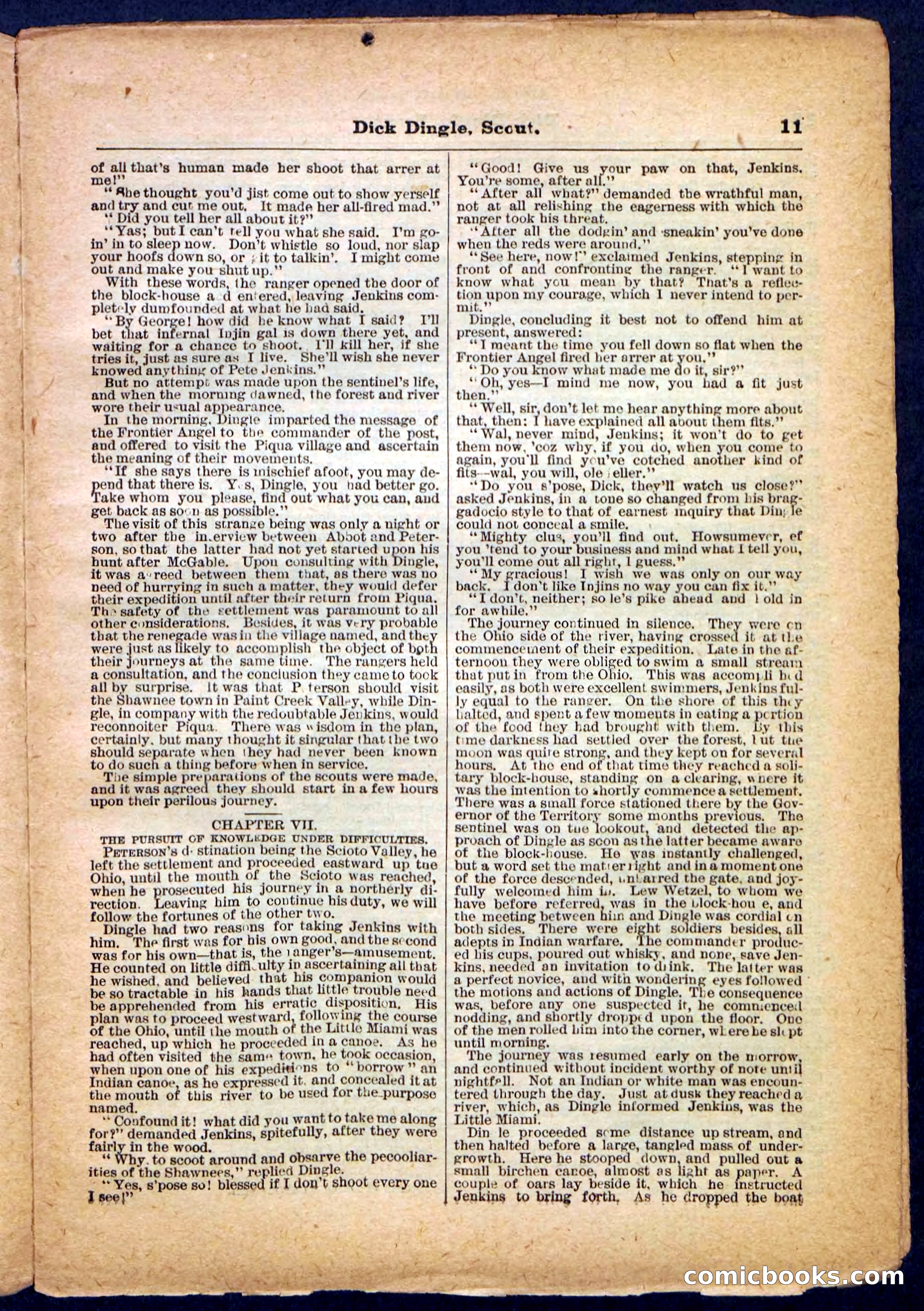 Beadle's Pocket Library No. 173 — page 11 of 32