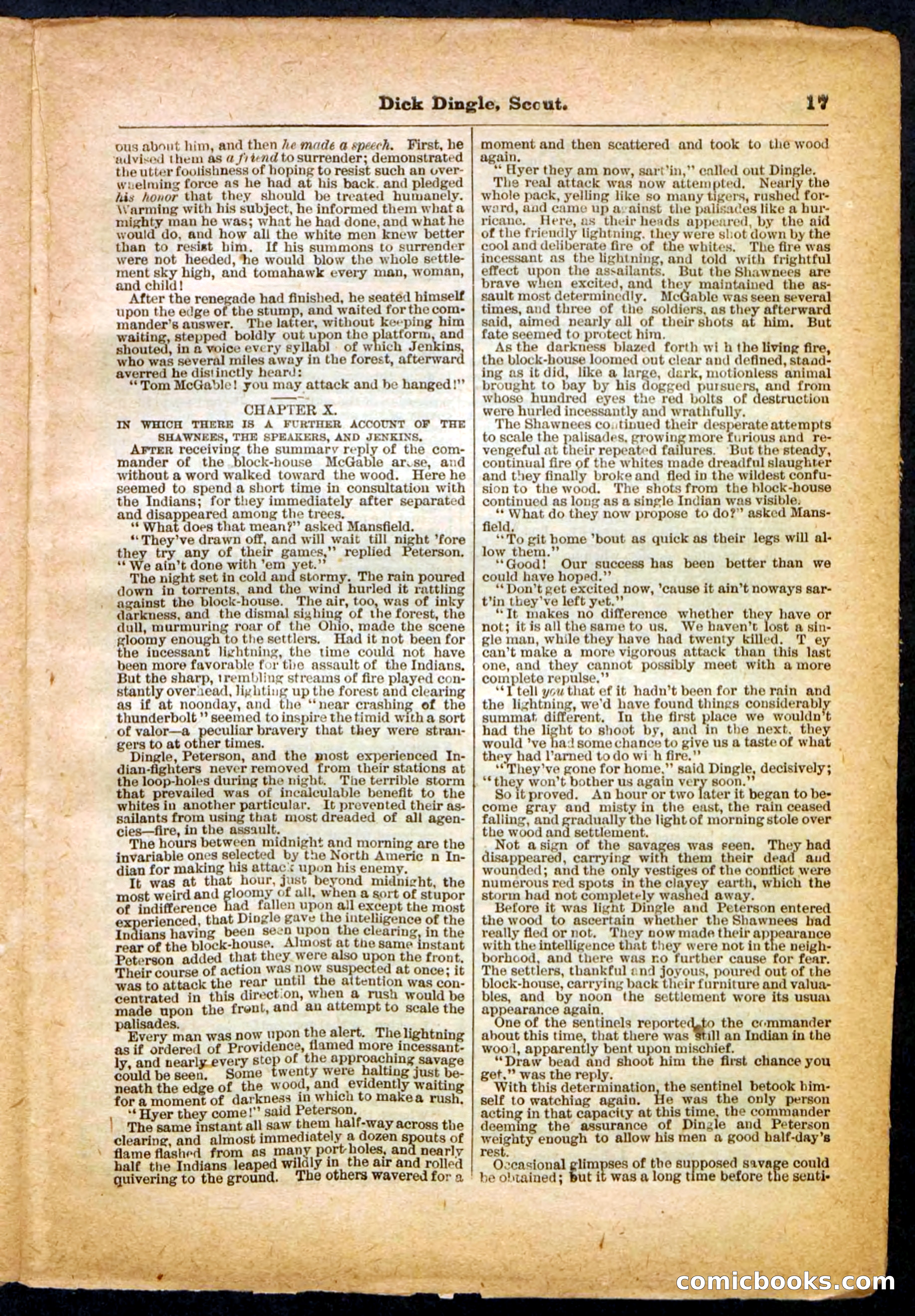 Beadle's Pocket Library No. 173 — page 17 of 32