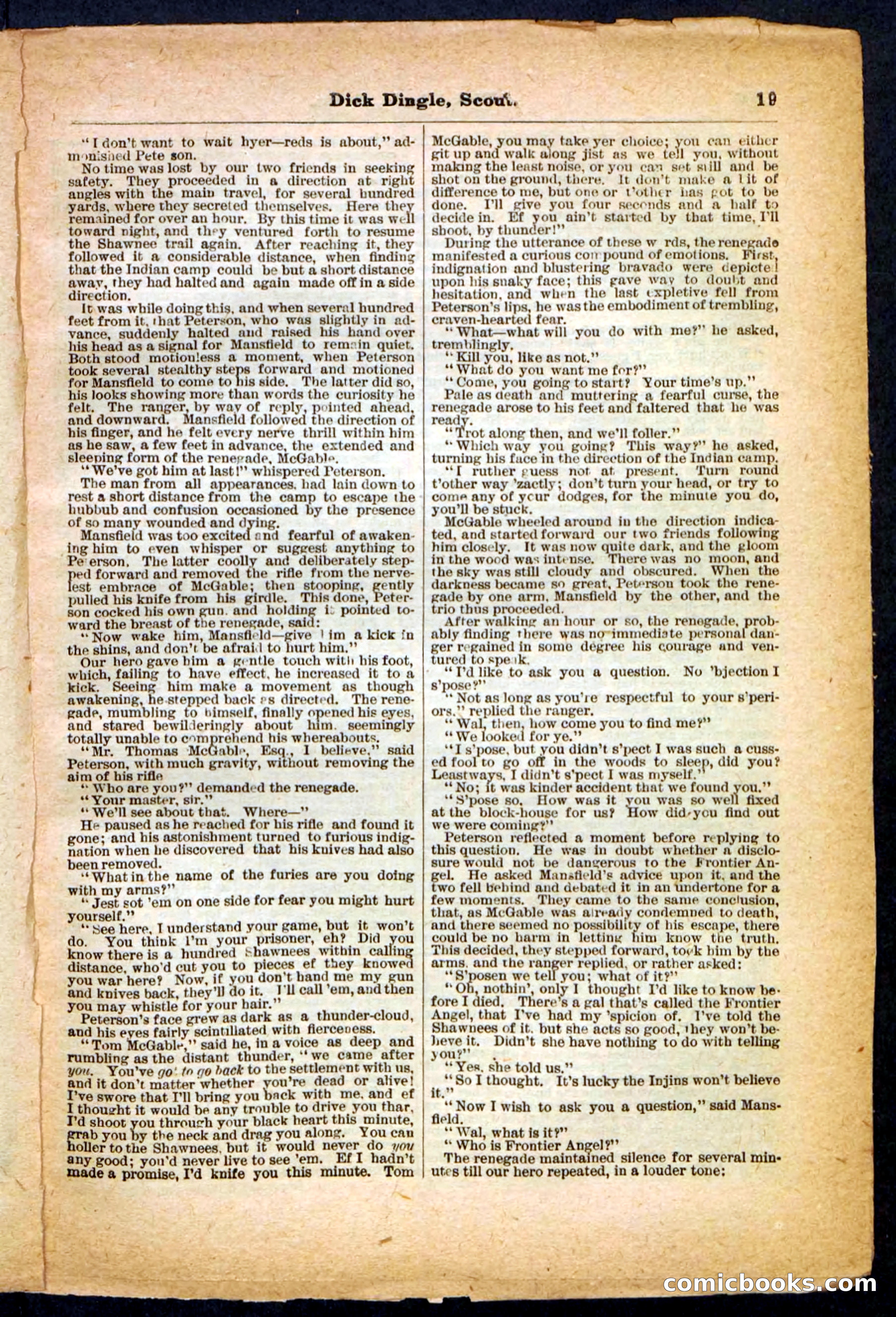Beadle's Pocket Library No. 173 — page 19 of 32