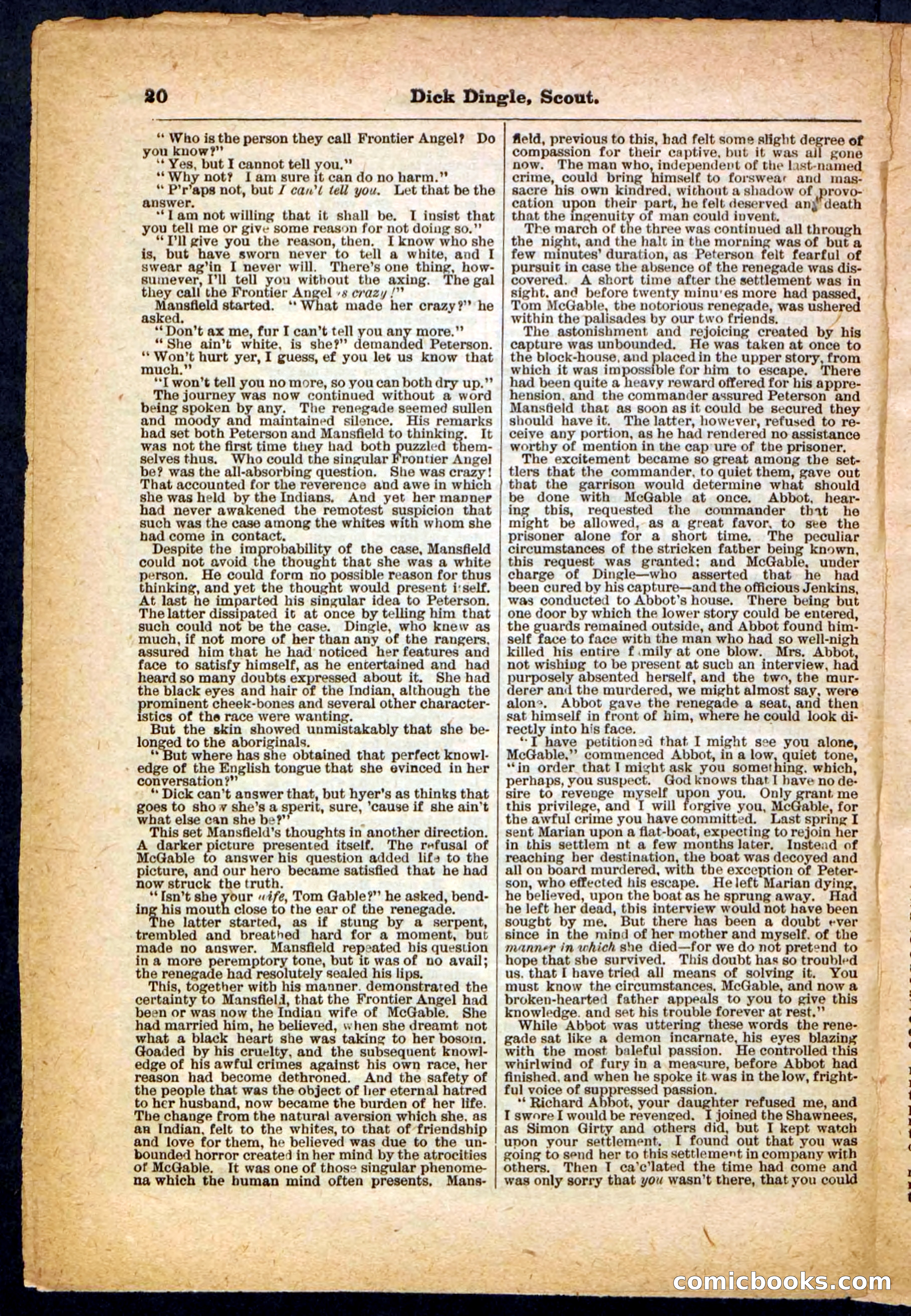 Beadle's Pocket Library No. 173 — page 20 of 32