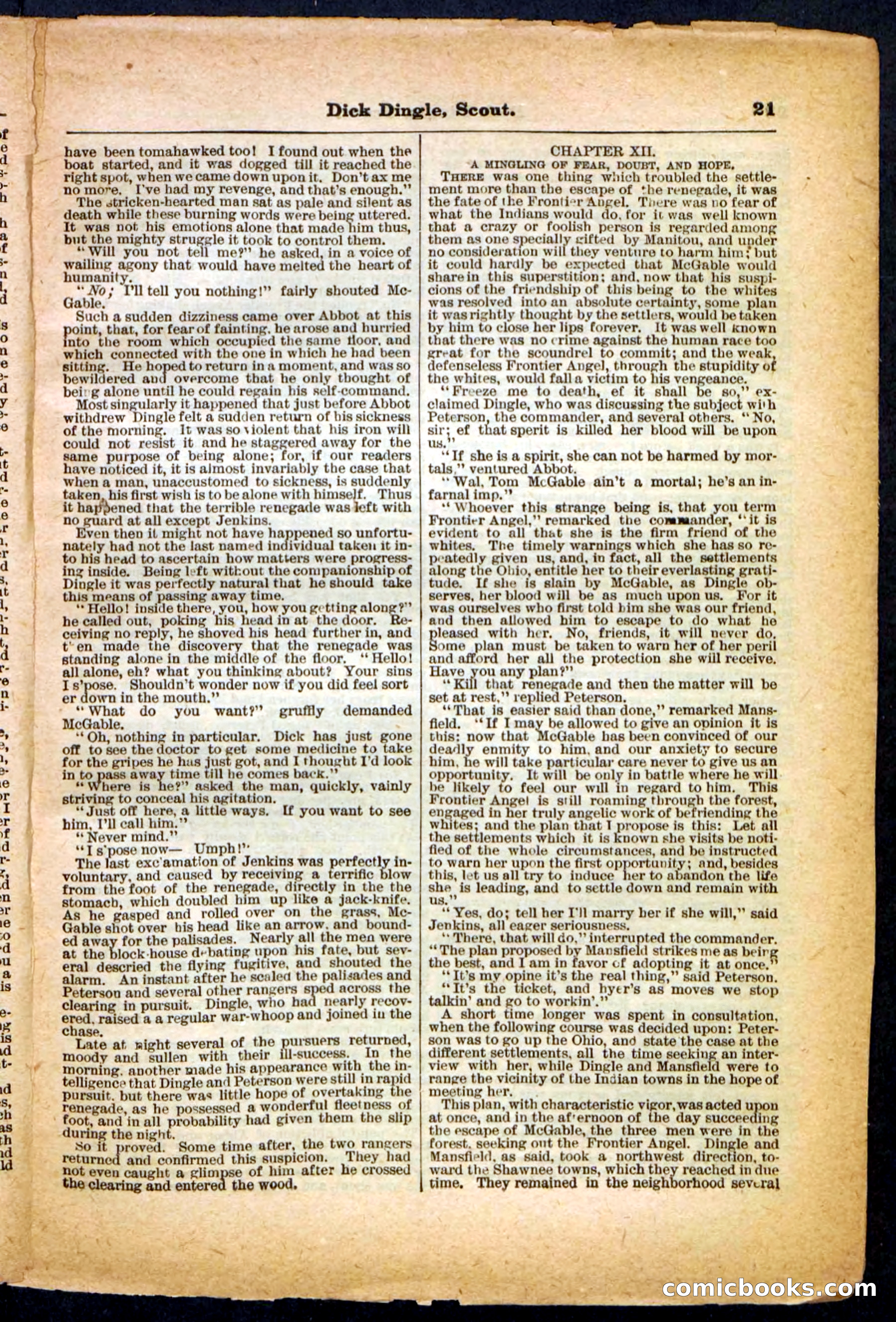 Beadle's Pocket Library No. 173 — page 21 of 32