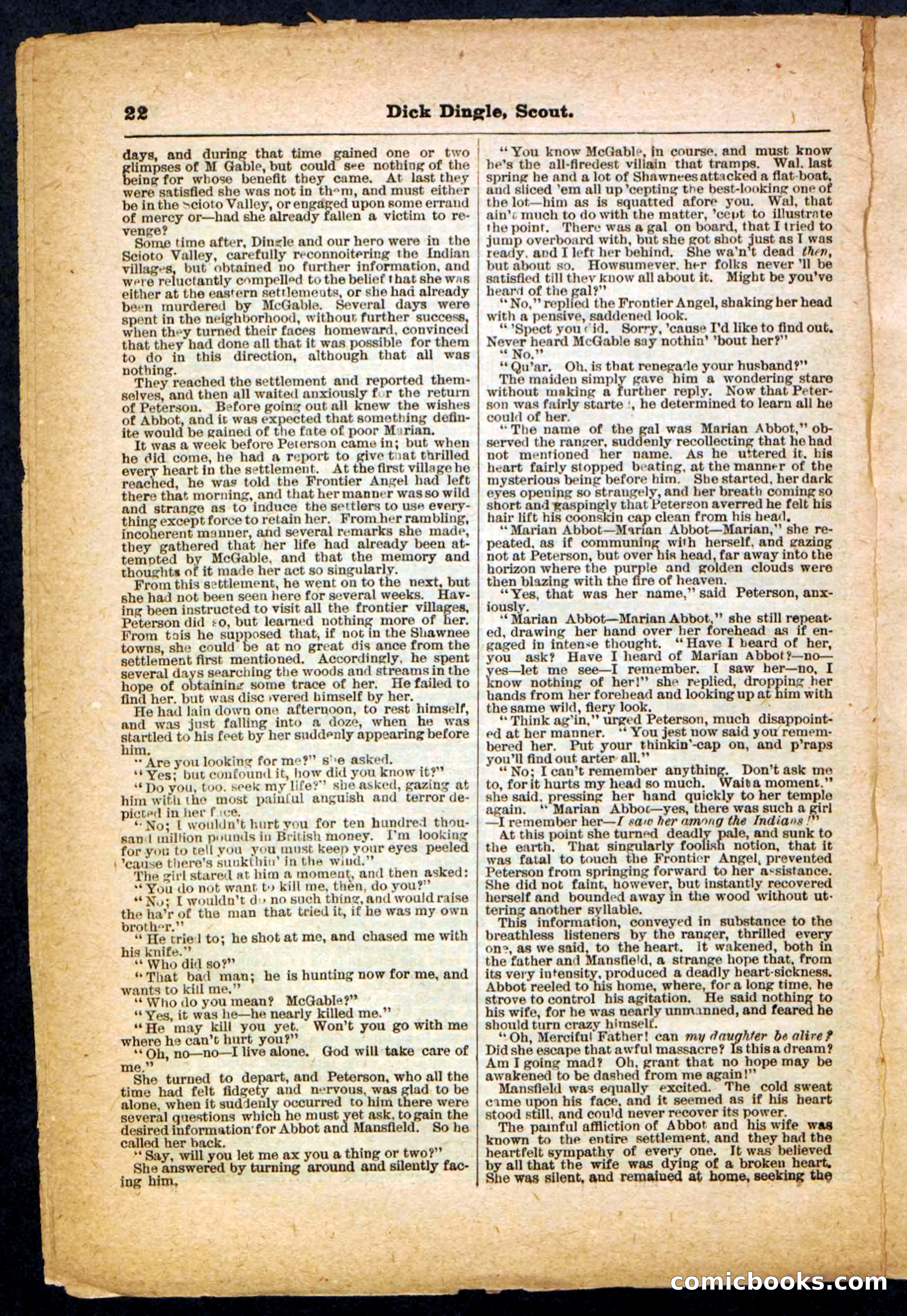 Beadle's Pocket Library No. 173 — page 22 of 32