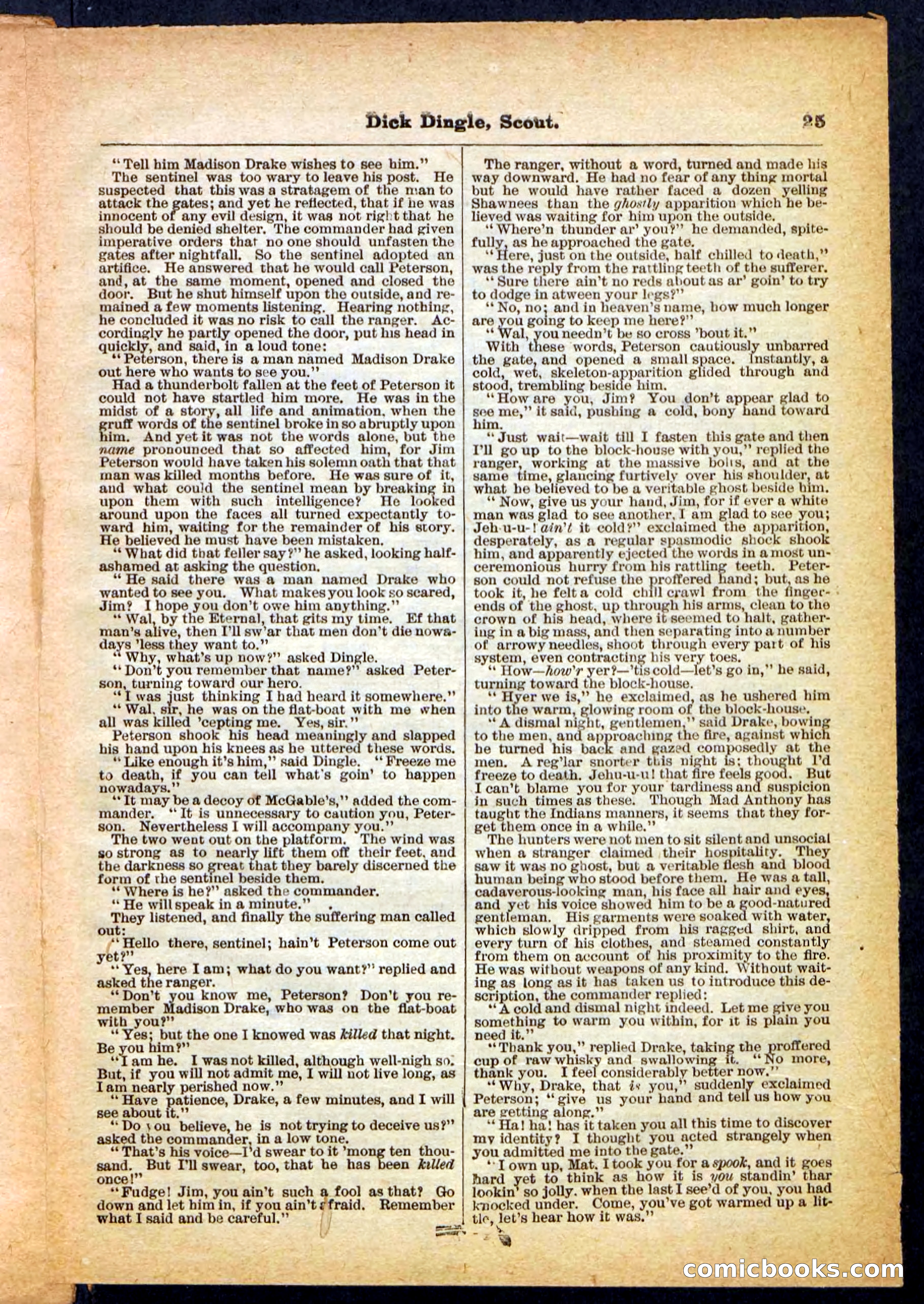 Beadle's Pocket Library No. 173 — page 25 of 32