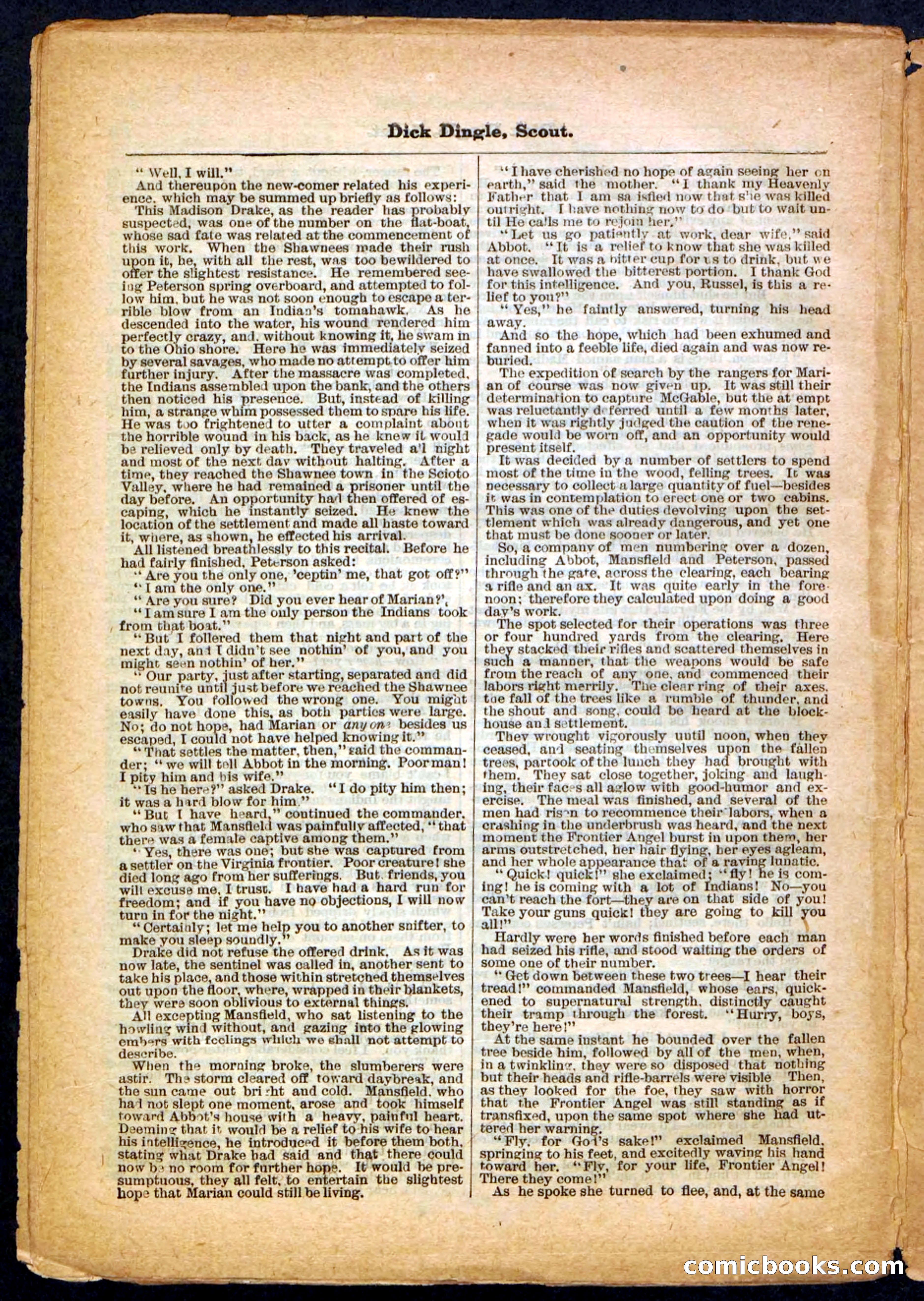 Beadle's Pocket Library No. 173 — page 26 of 32