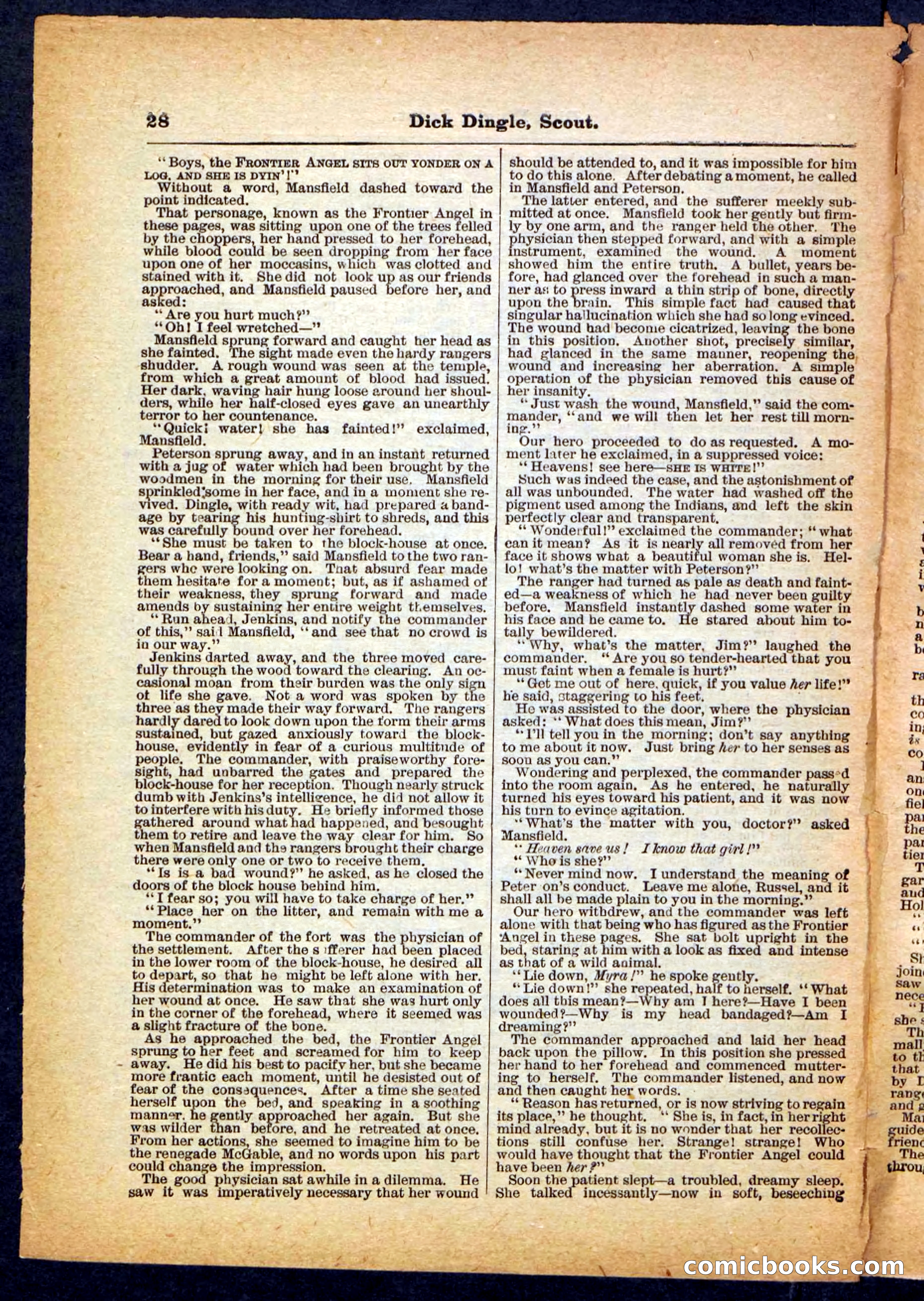 Beadle's Pocket Library No. 173 — page 28 of 32