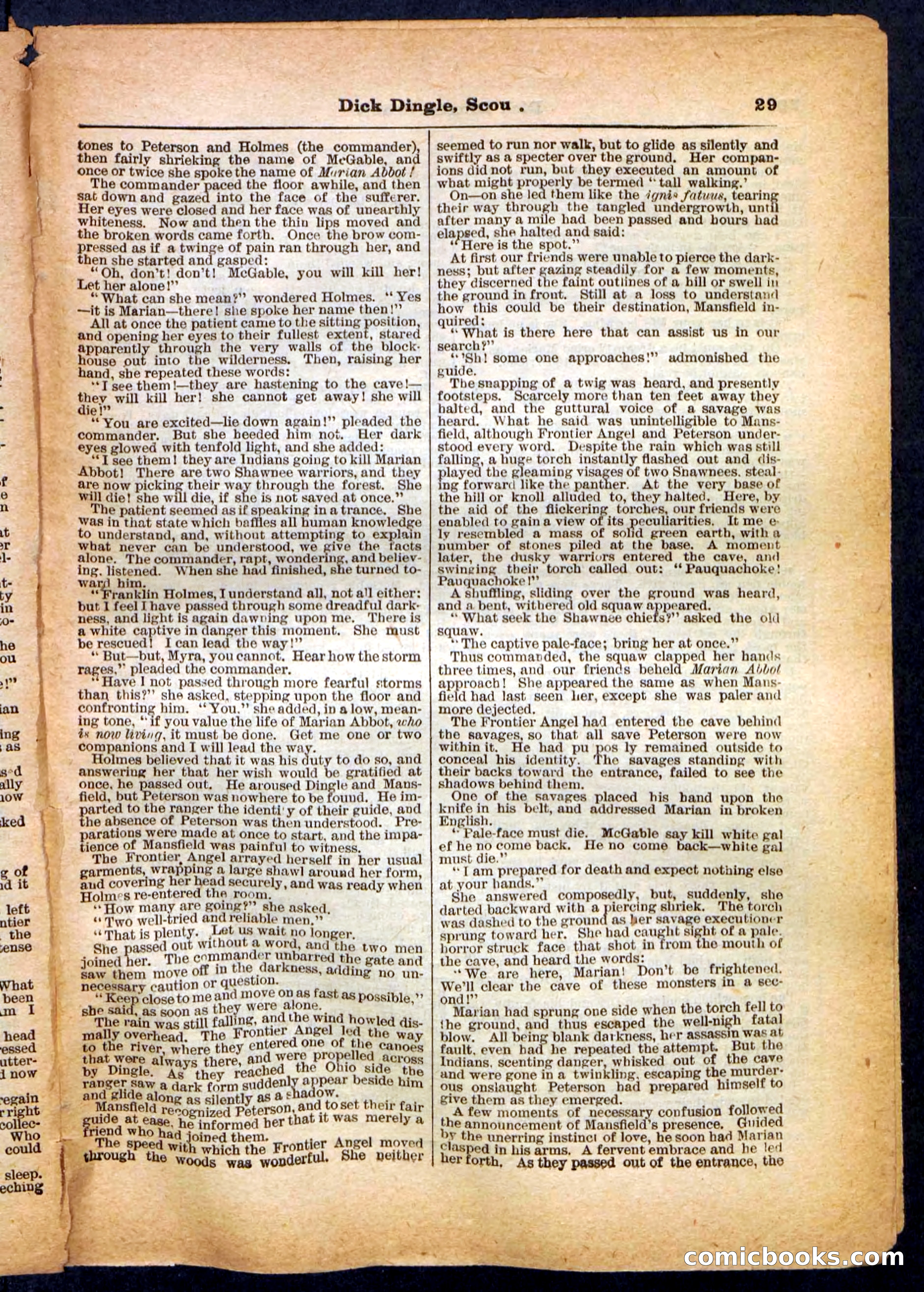 Beadle's Pocket Library No. 173 — page 29 of 32