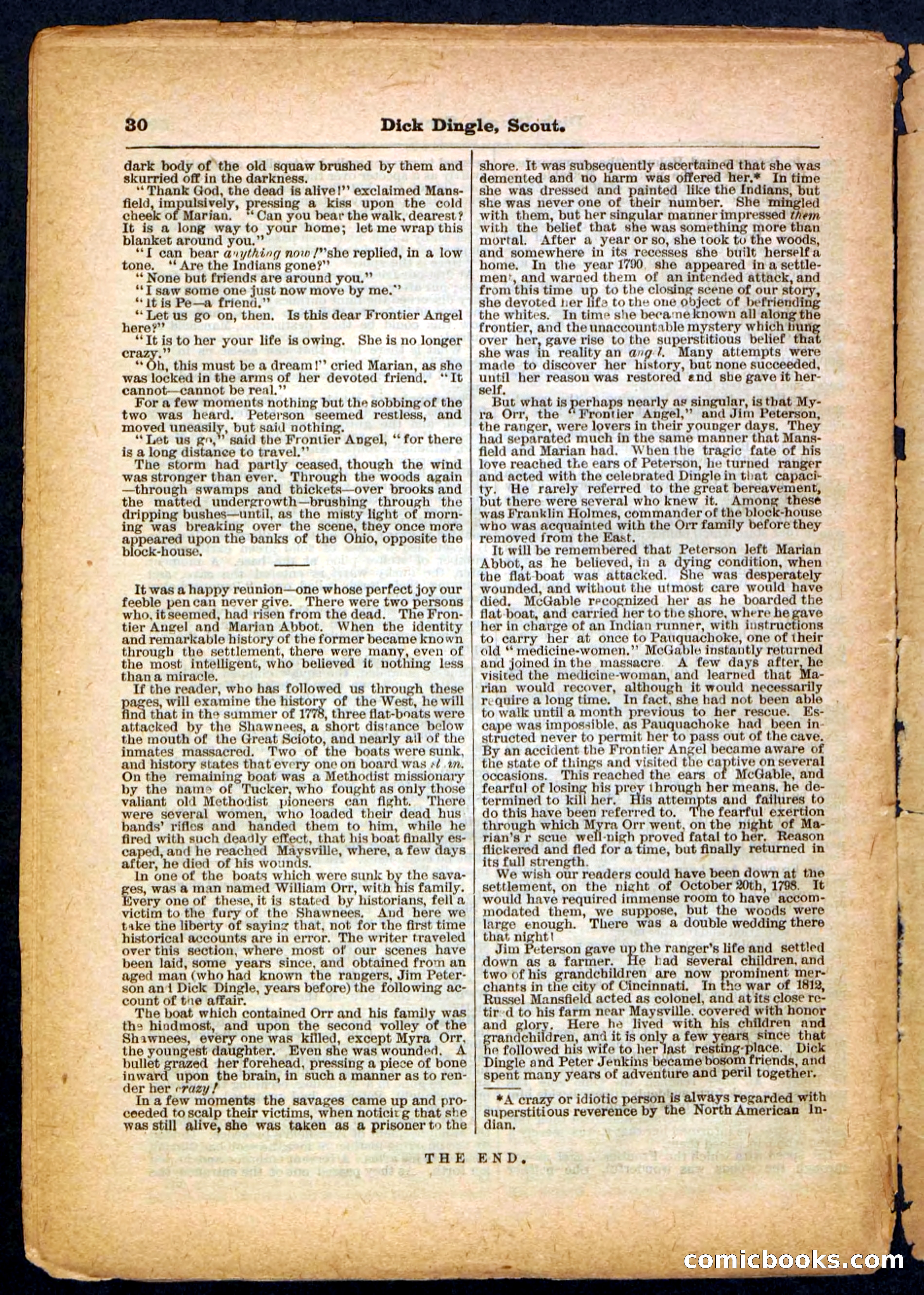 Beadle's Pocket Library No. 173 — page 30 of 32