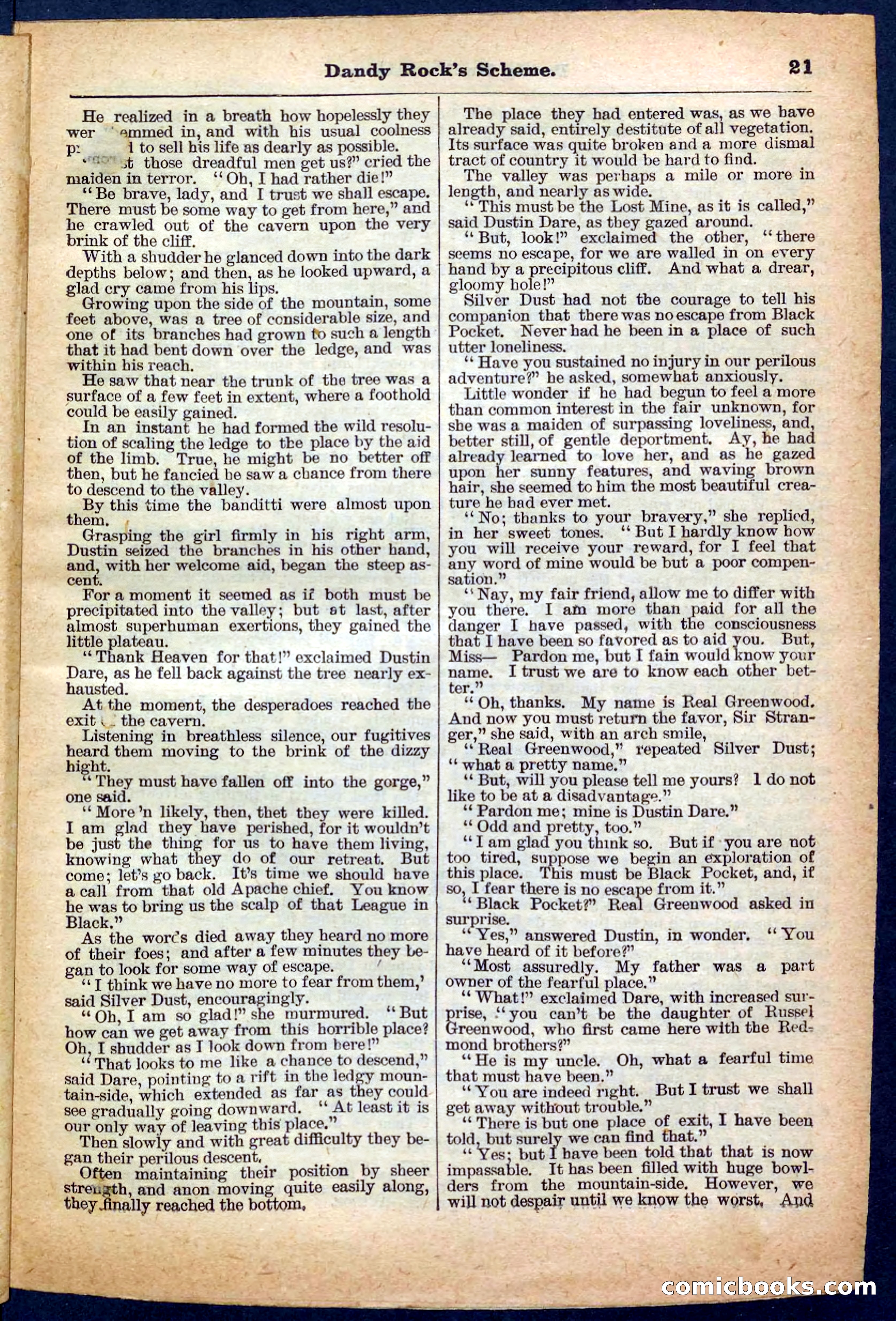 Beadle's Pocket Library, No. 174 — page 21 of 32