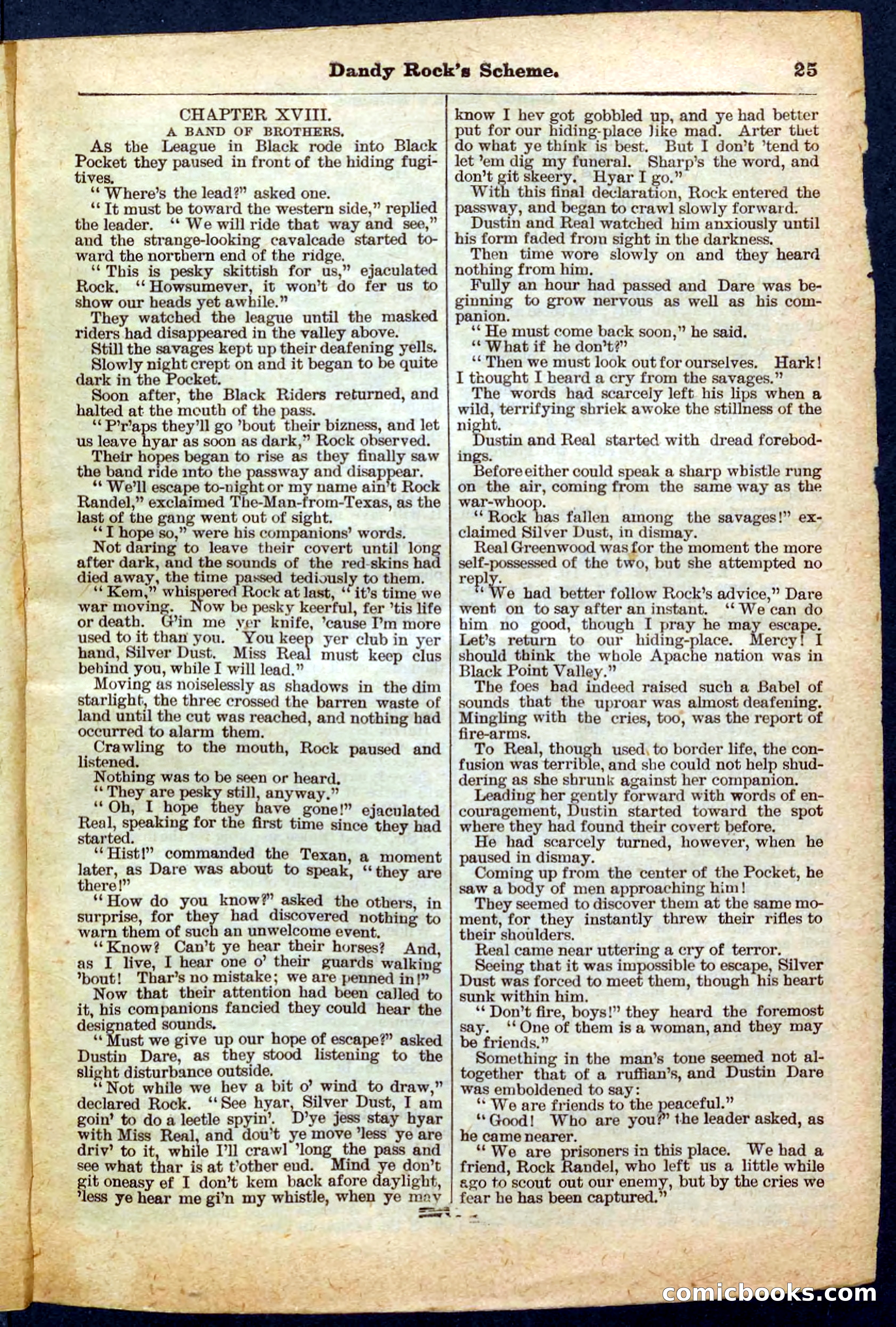 Beadle's Pocket Library, No. 174 — page 25 of 32