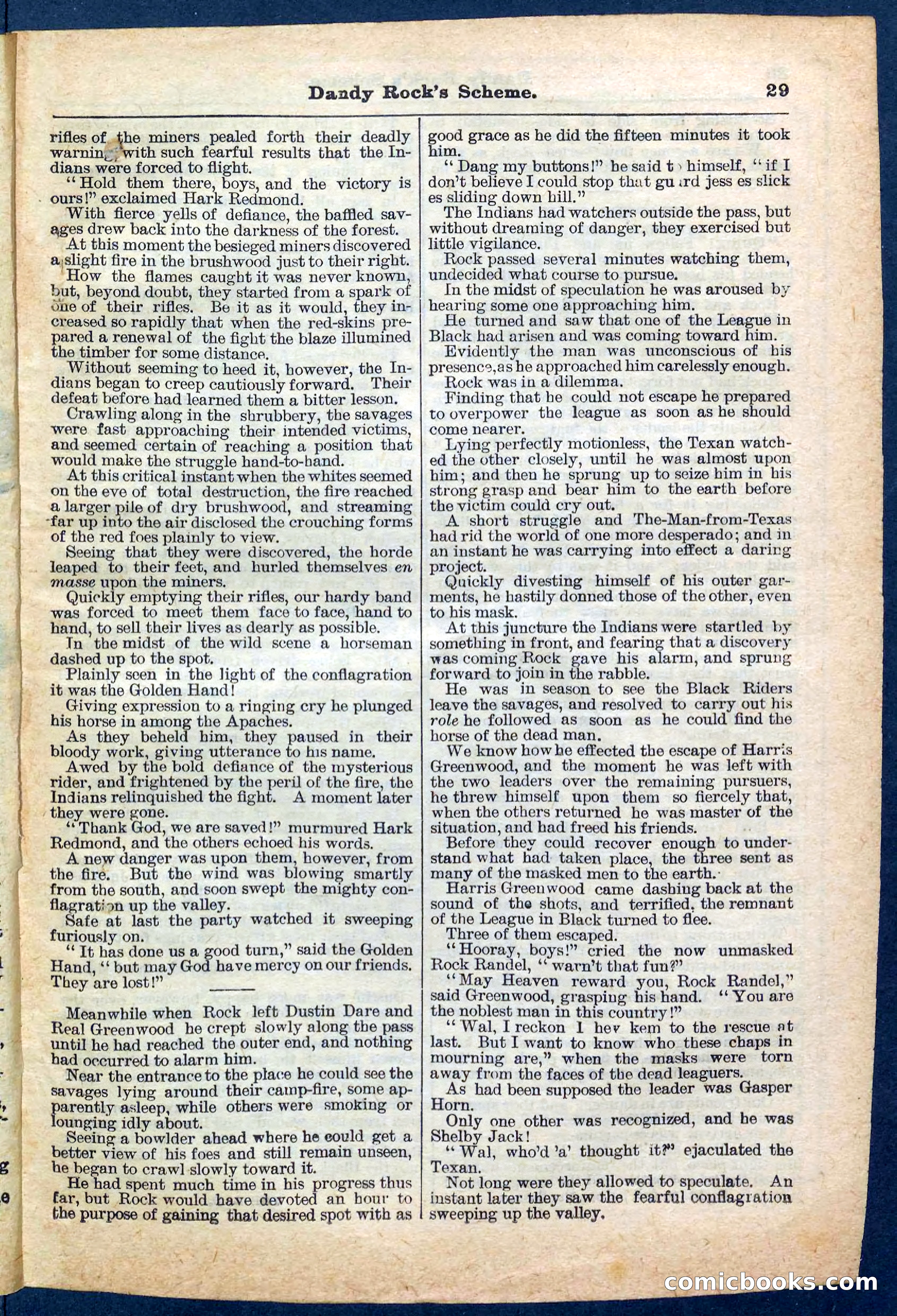 Beadle's Pocket Library, No. 174 — page 29 of 32