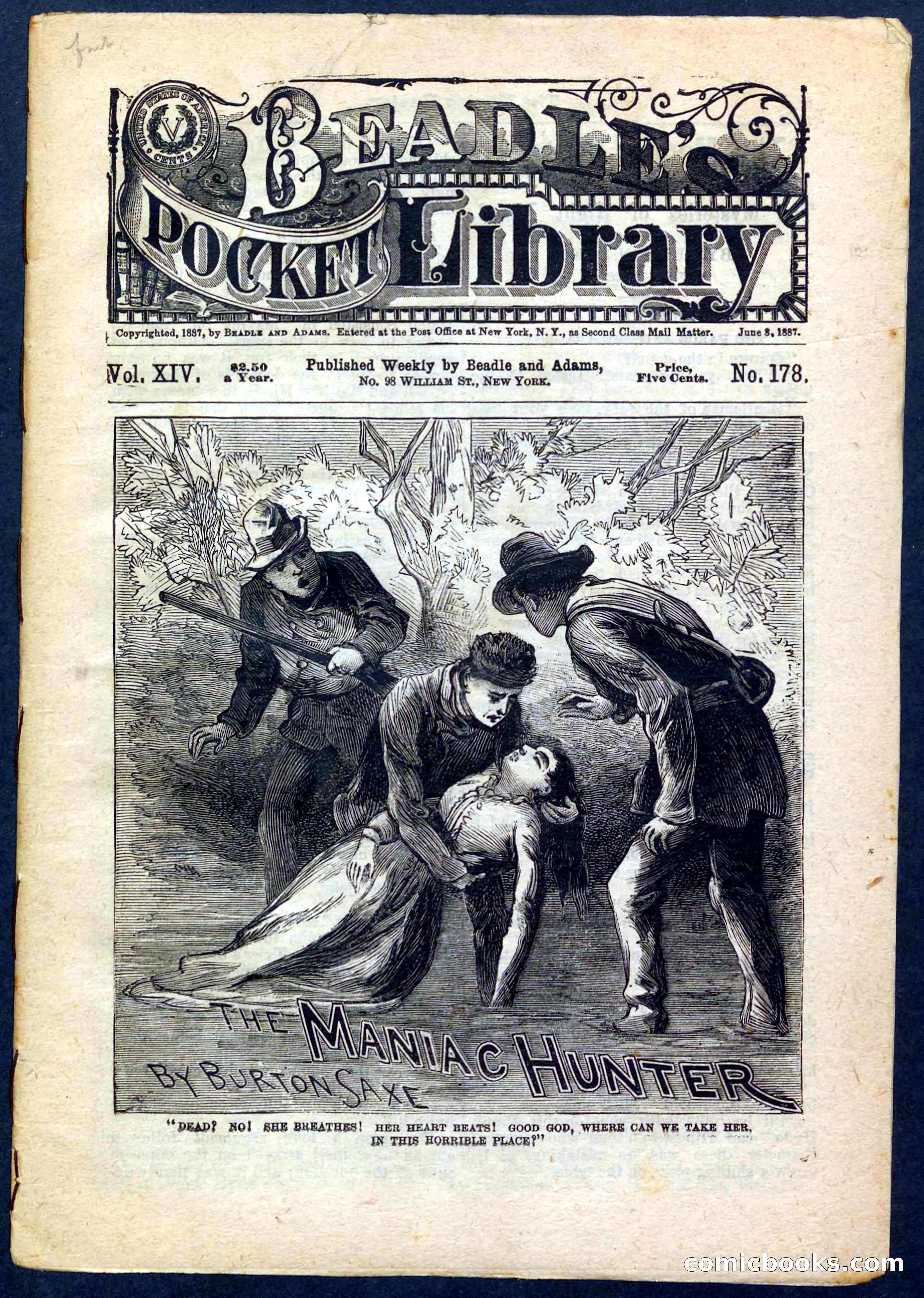 Beadle's Pocket Library No. 178 — page 1 of 32