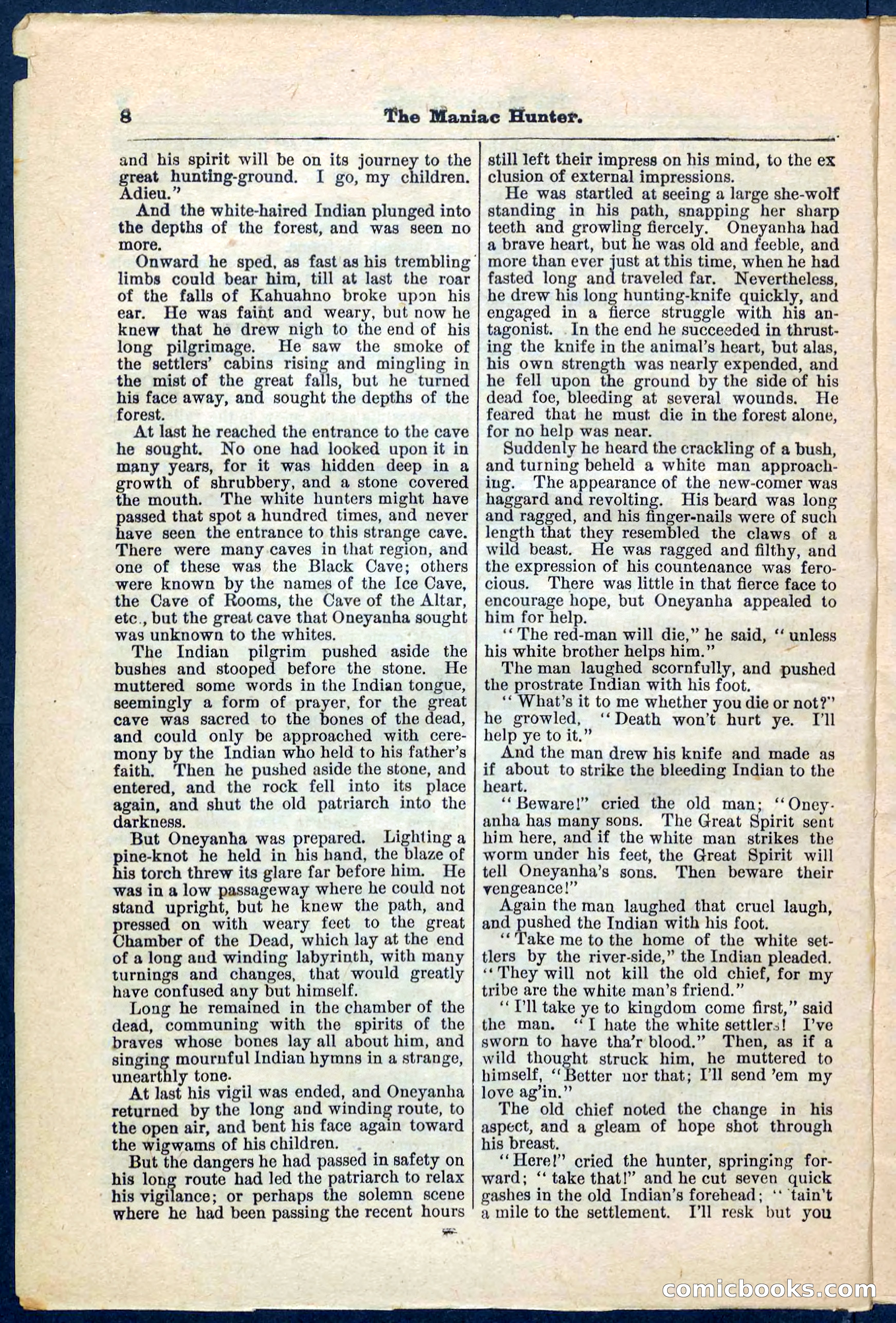Beadle's Pocket Library No. 178 — page 8 of 32