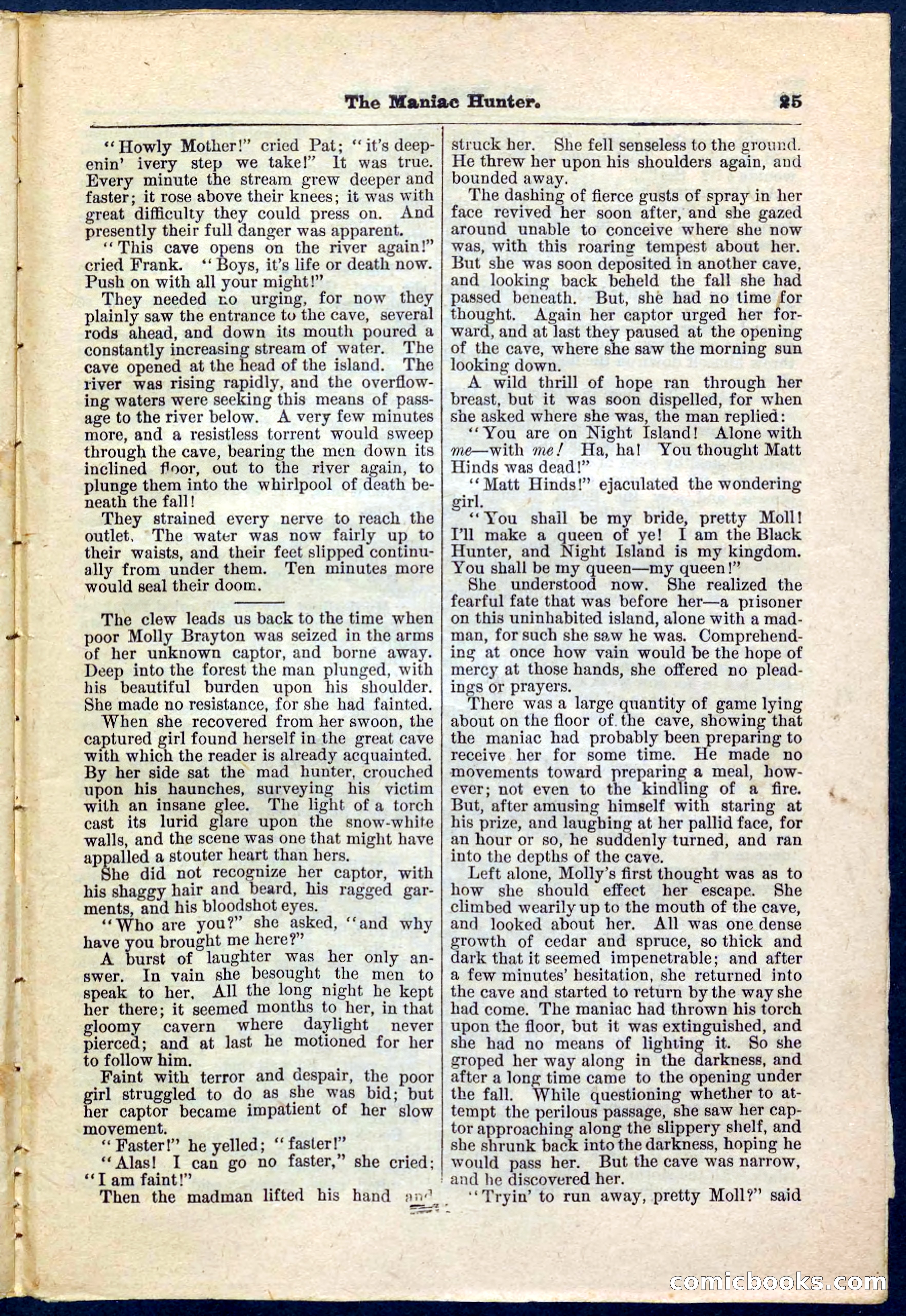 Beadle's Pocket Library No. 178 — page 25 of 32