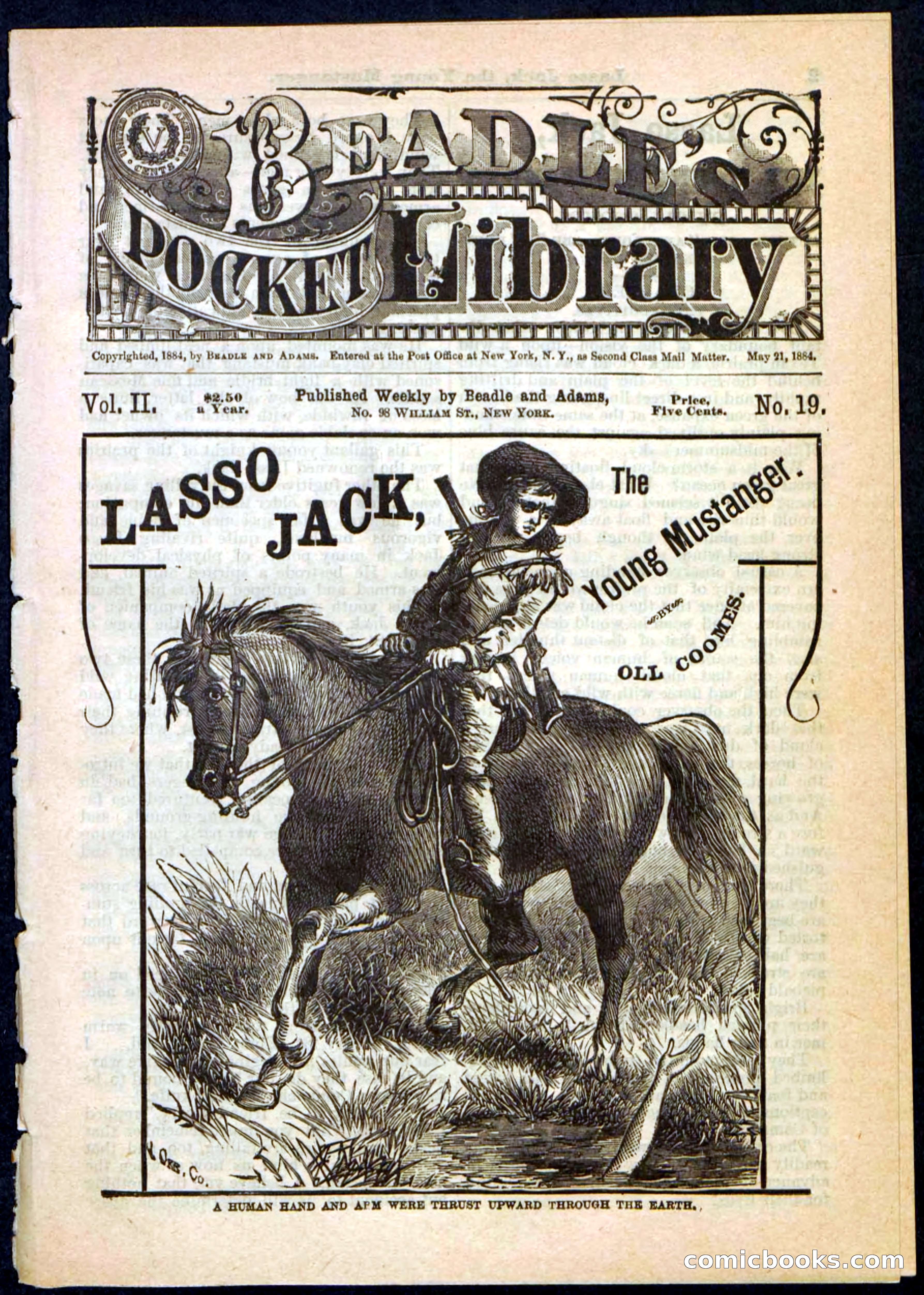 Beadle's Pocket Library No. 19 — page 1 of 32