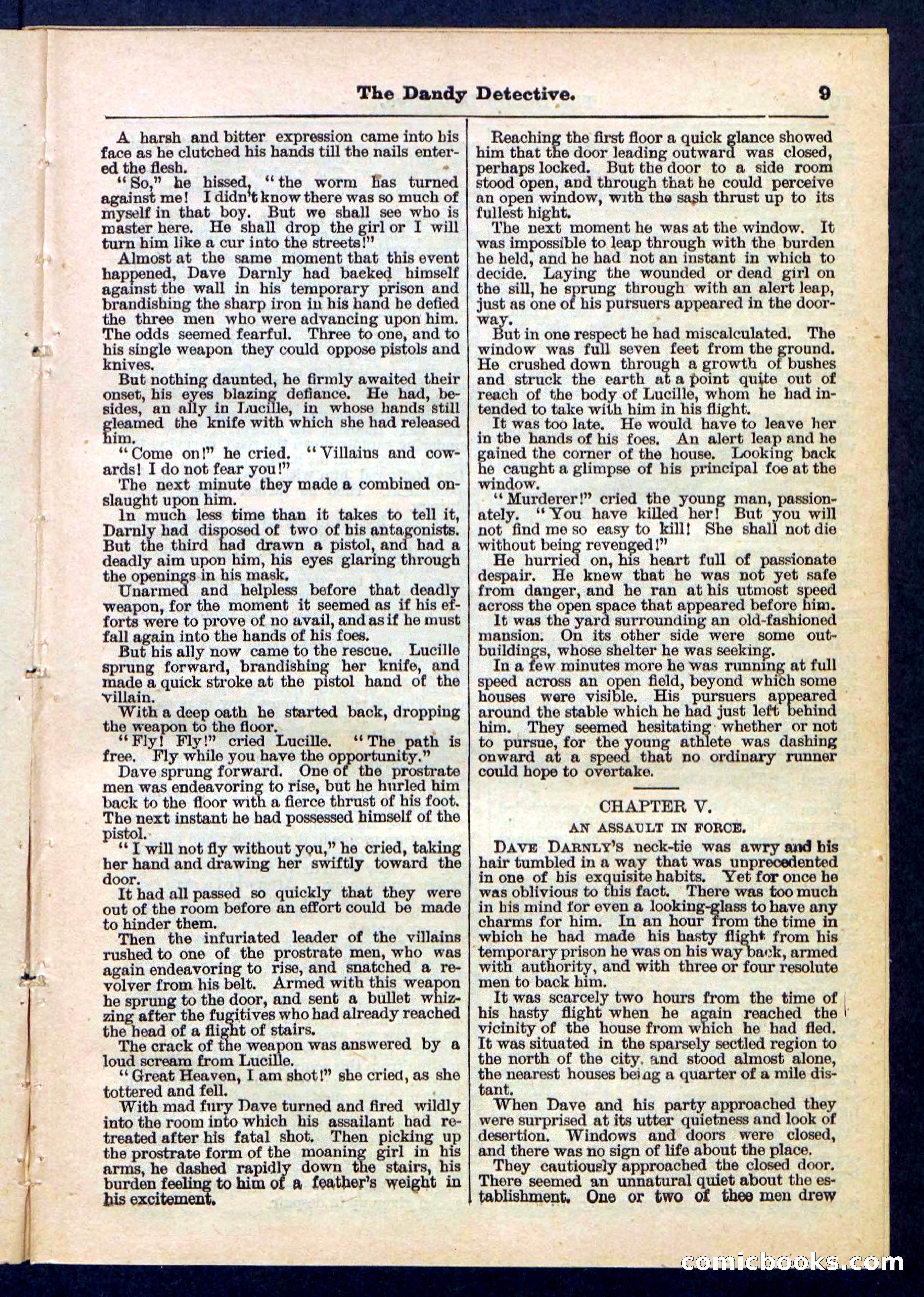 Beadle's Pocket Library No. 196 — page 9 of 32