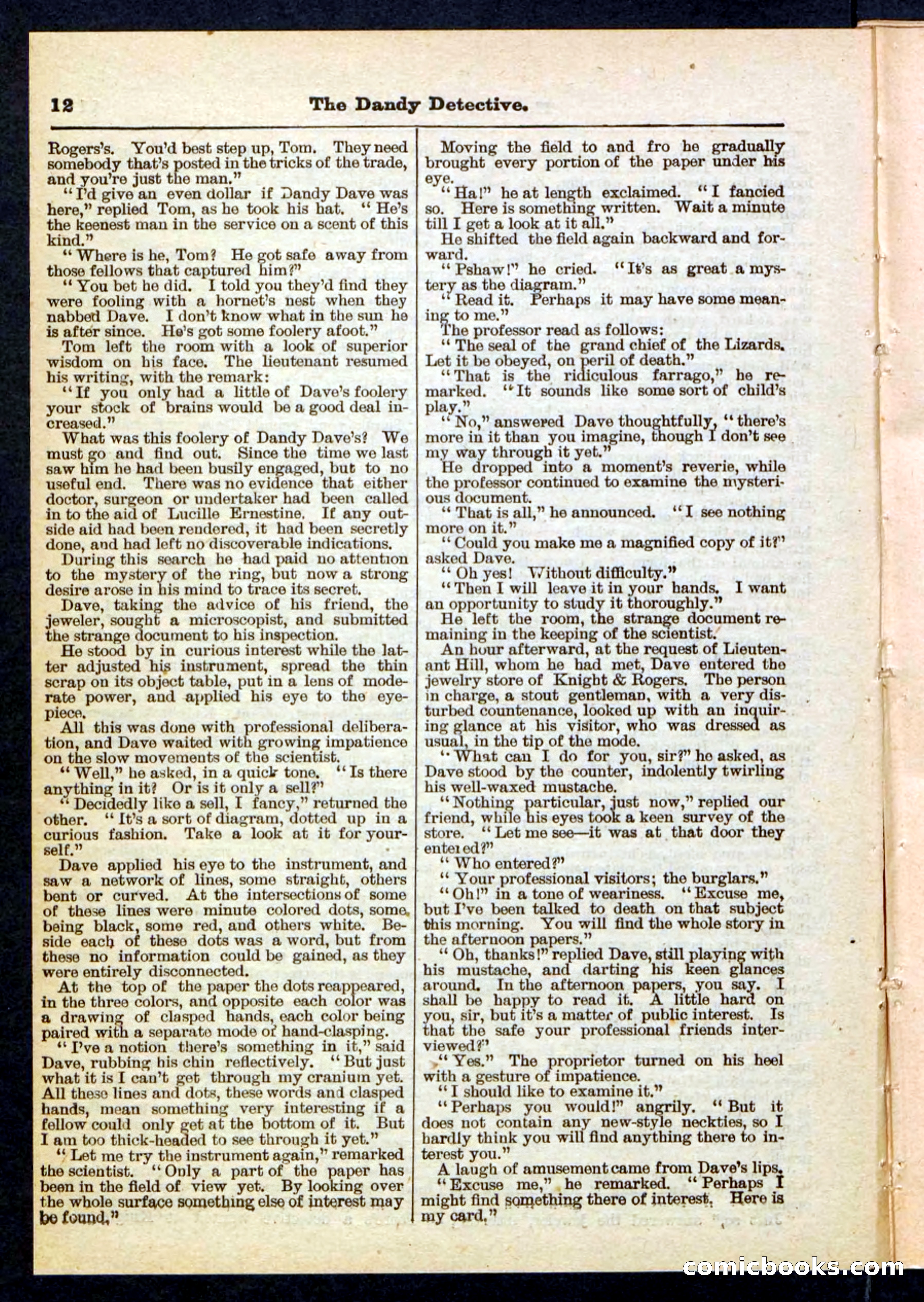 Beadle's Pocket Library No. 196 — page 12 of 32