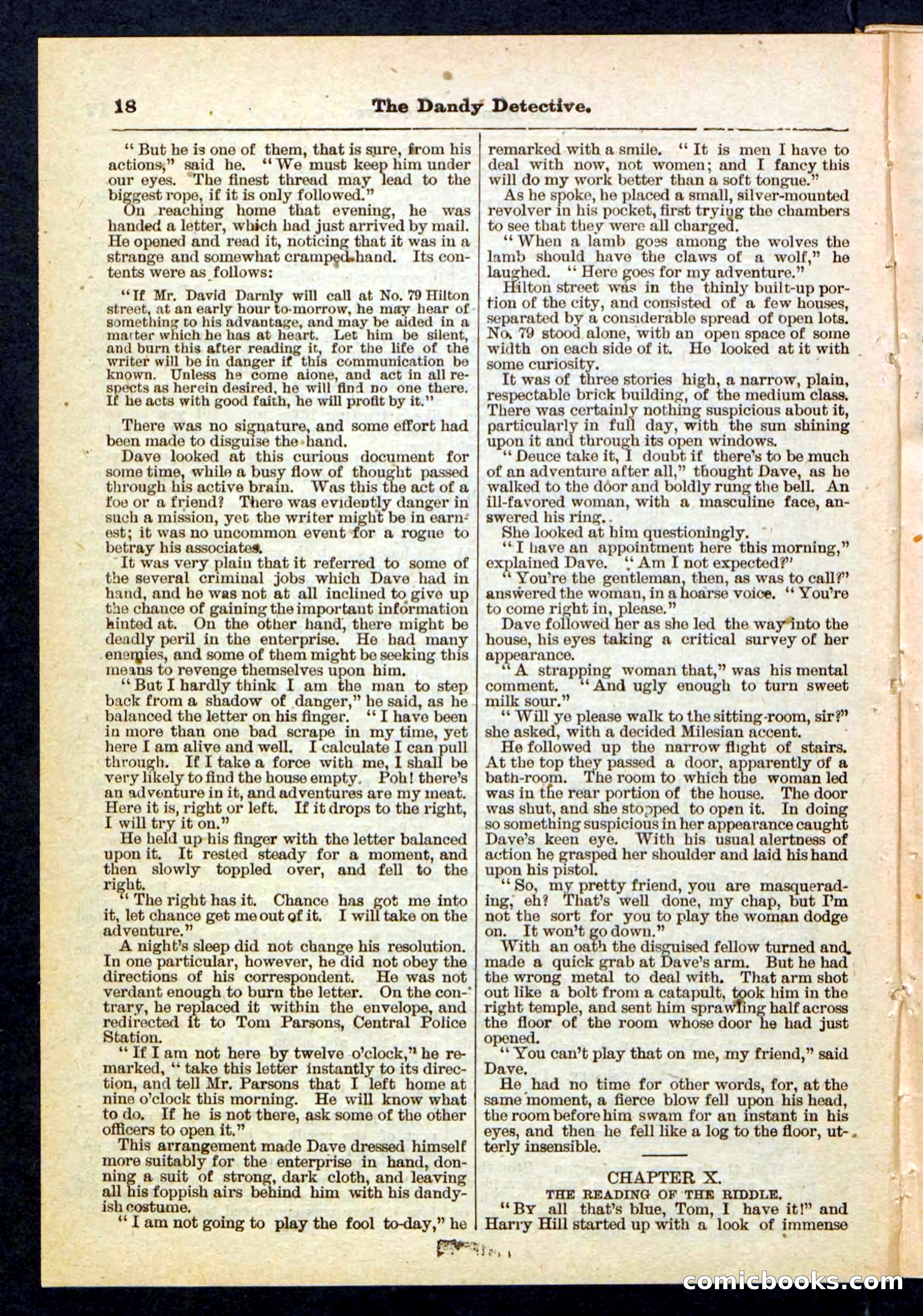 Beadle's Pocket Library No. 196 — page 18 of 32