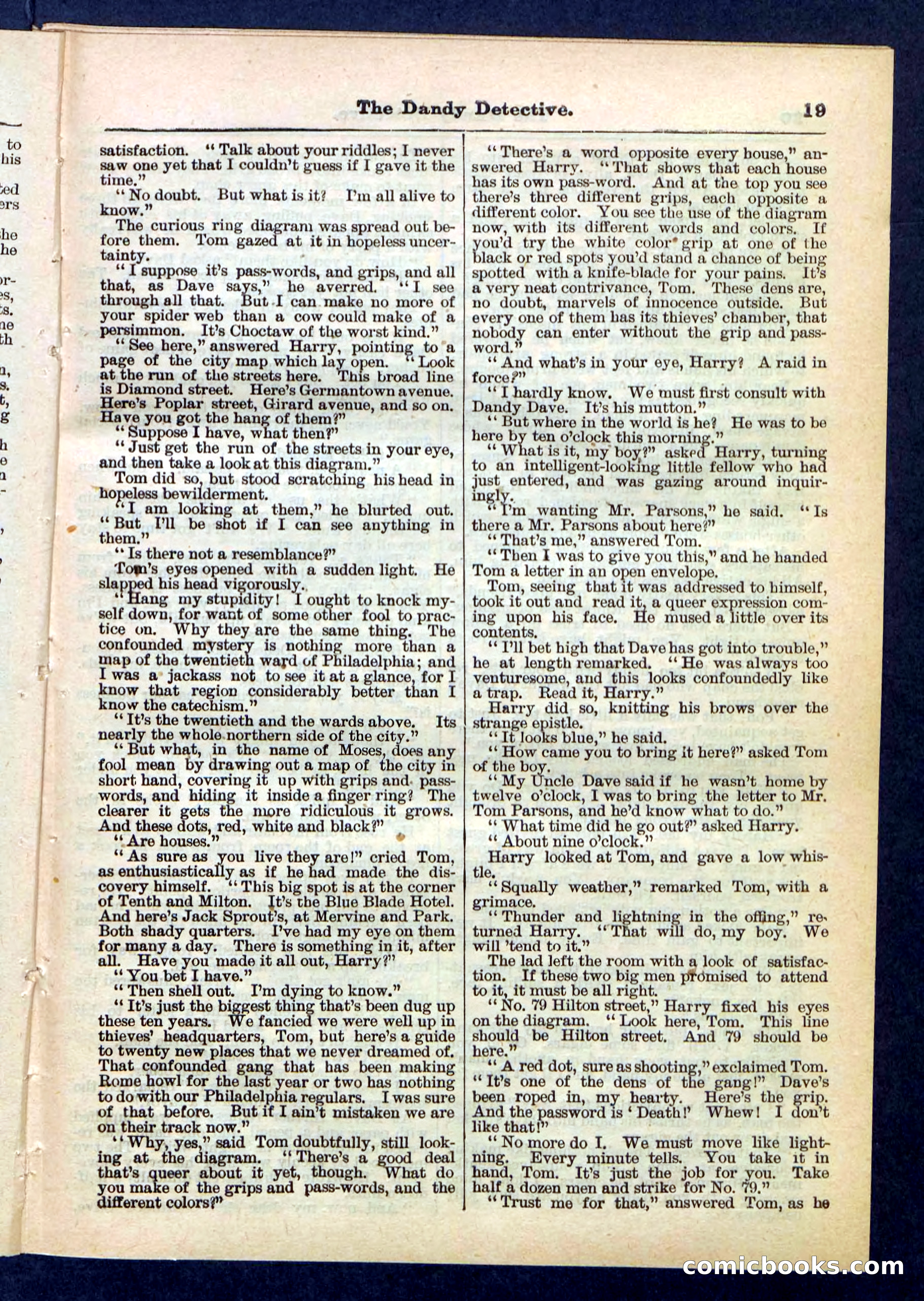 Beadle's Pocket Library No. 196 — page 19 of 32