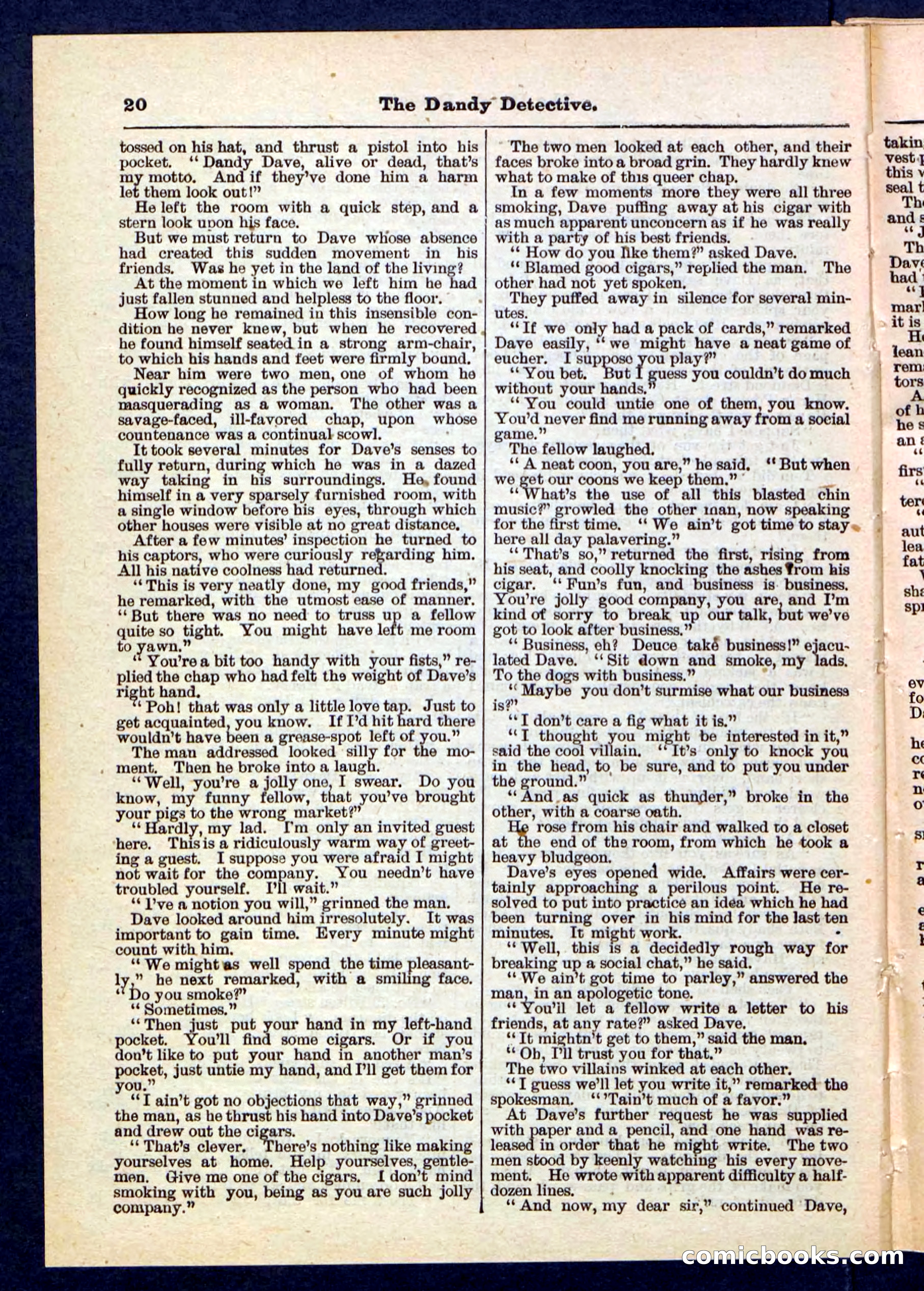 Beadle's Pocket Library No. 196 — page 20 of 32