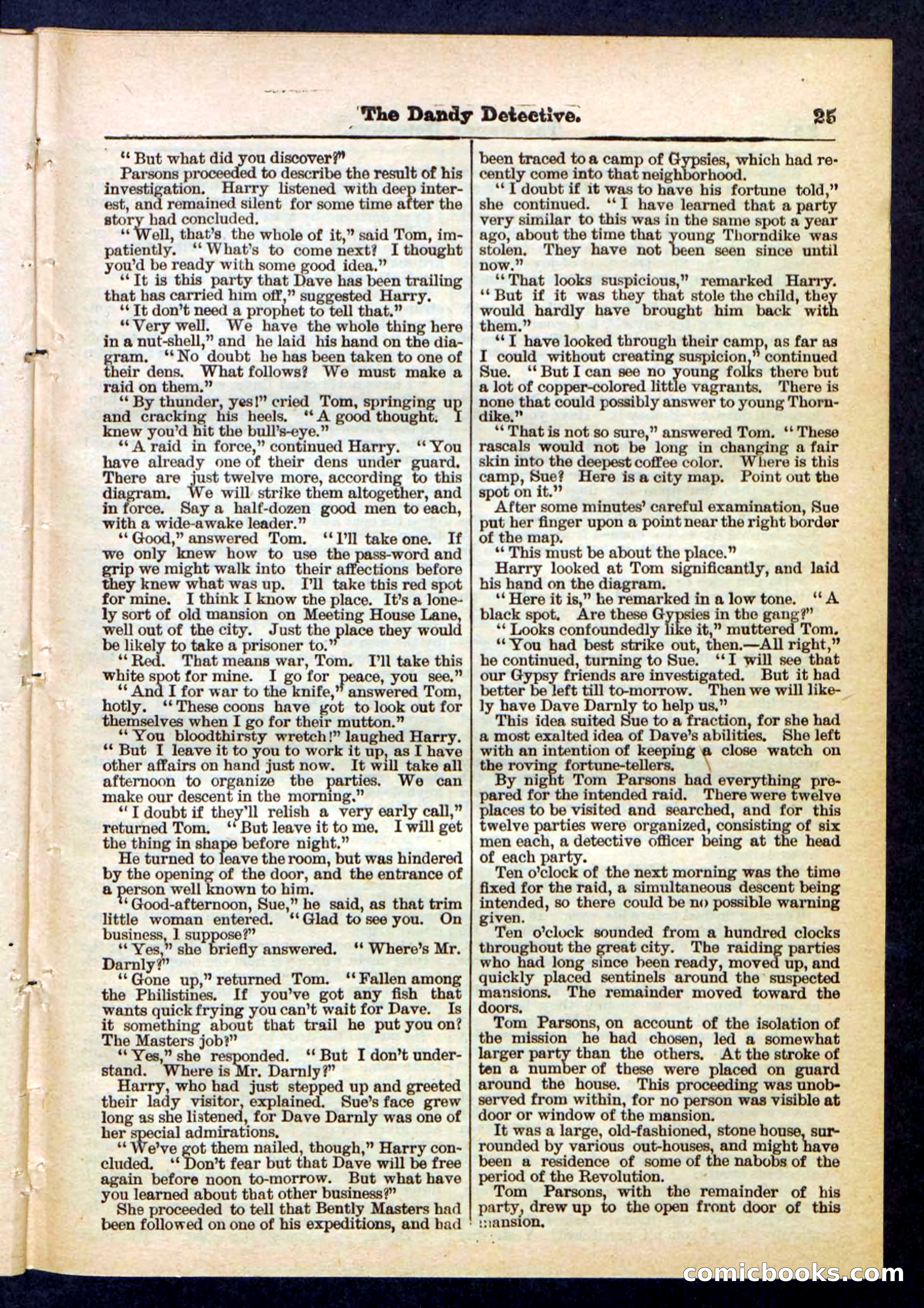 Beadle's Pocket Library No. 196 — page 25 of 32