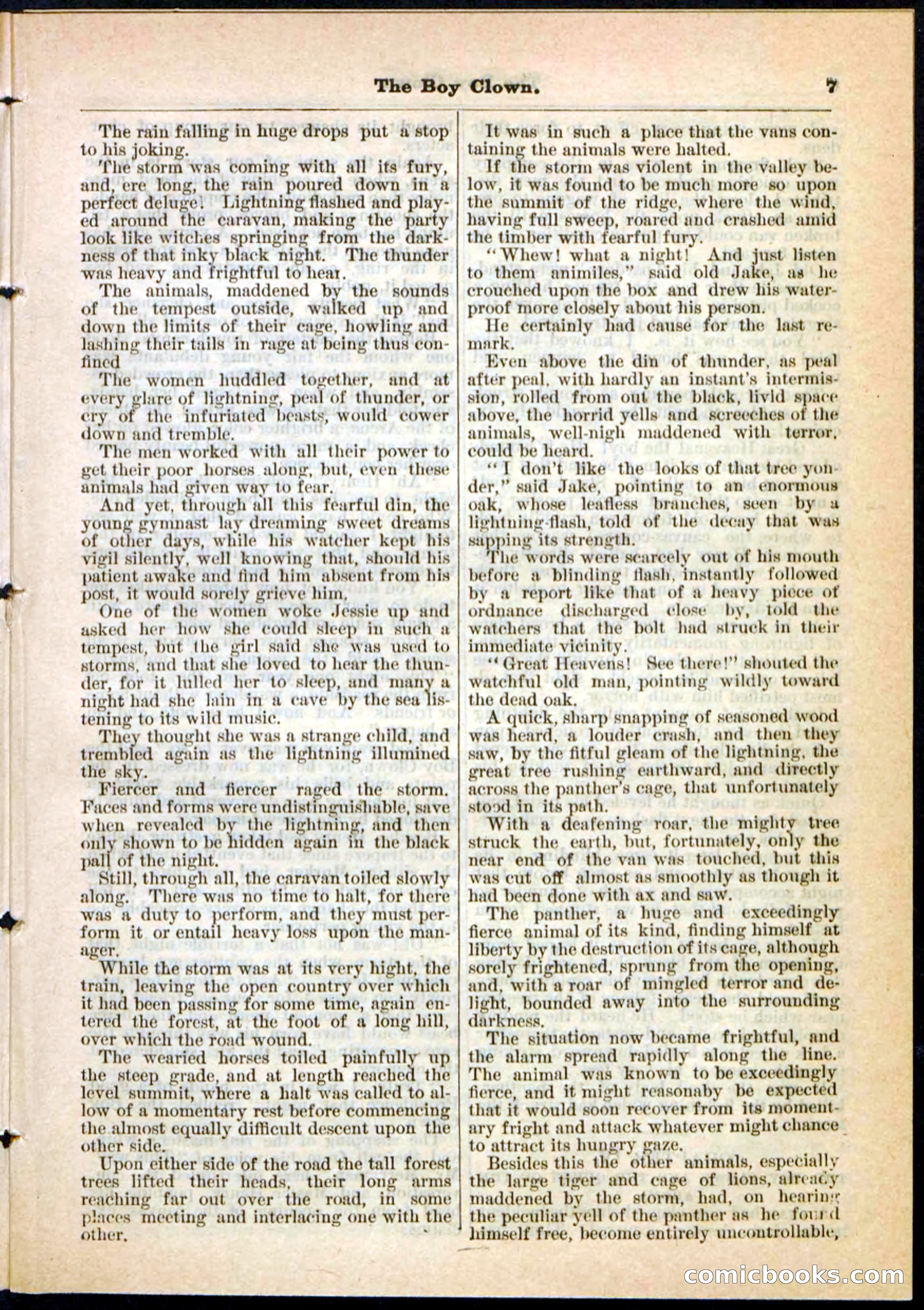 Beadle's Pocket Library, No. 21 — page 7 of 32