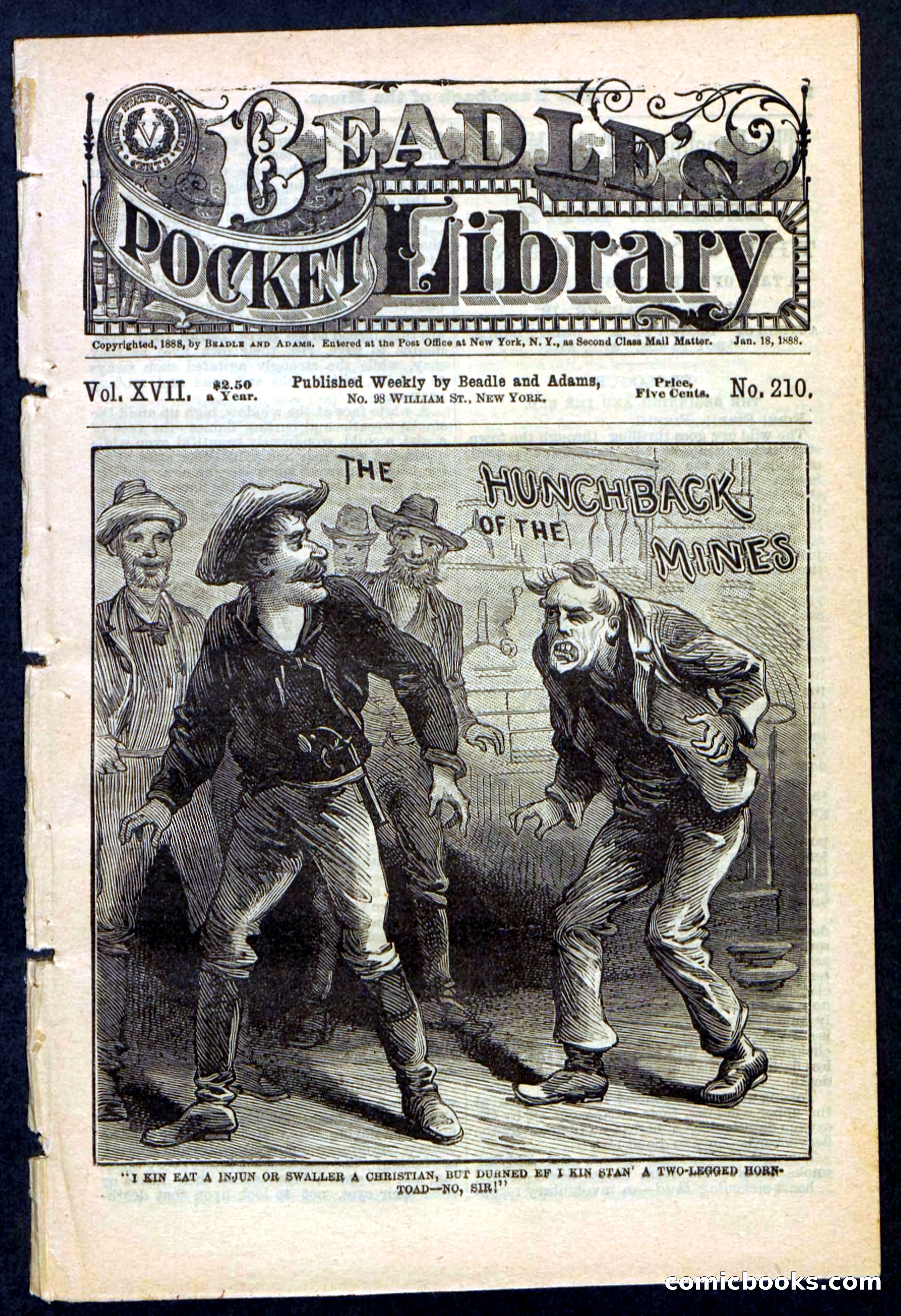 Beadle's Pocket Library No. 210 — page 1 of 32
