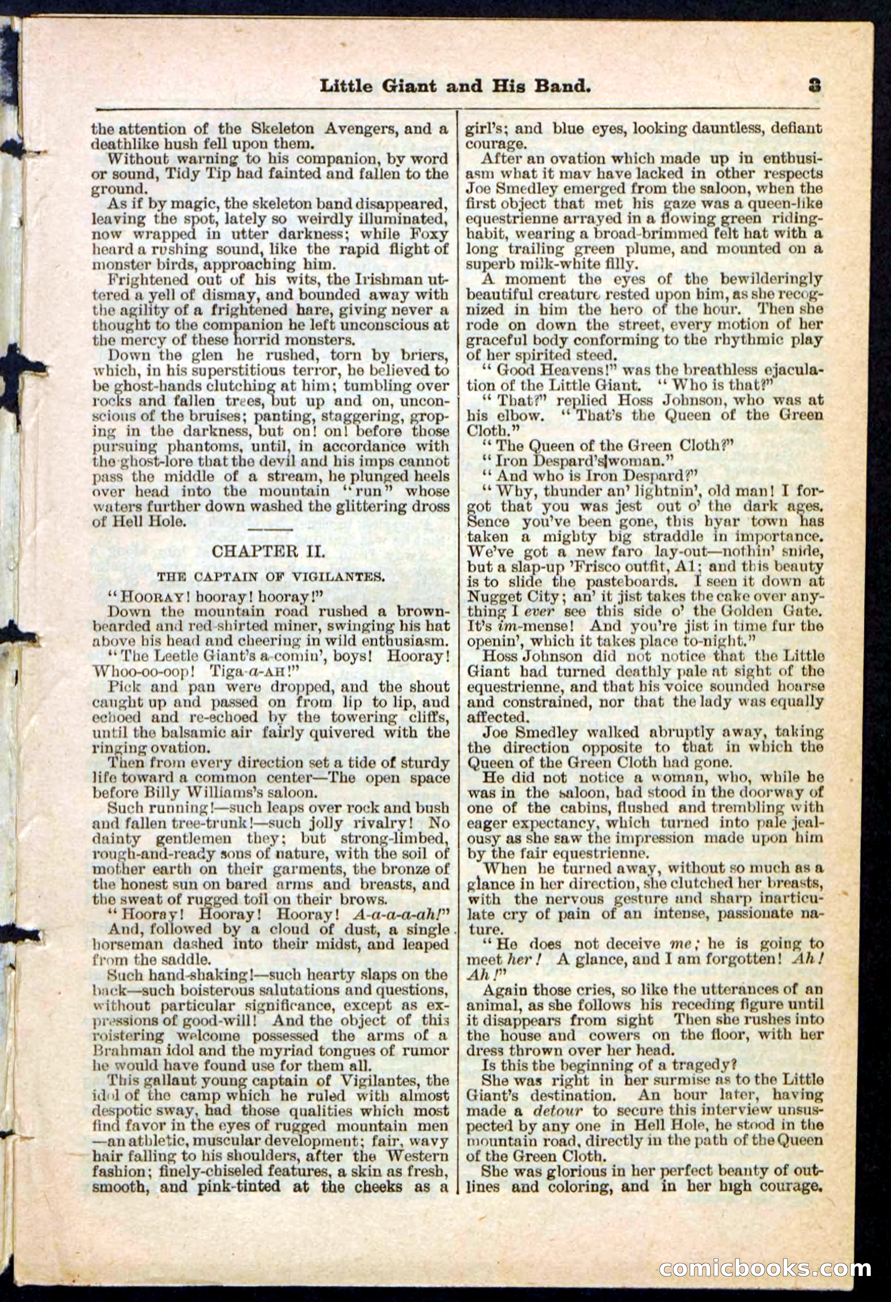 Beadle's Pocket Library No. 211 — page 3 of 32