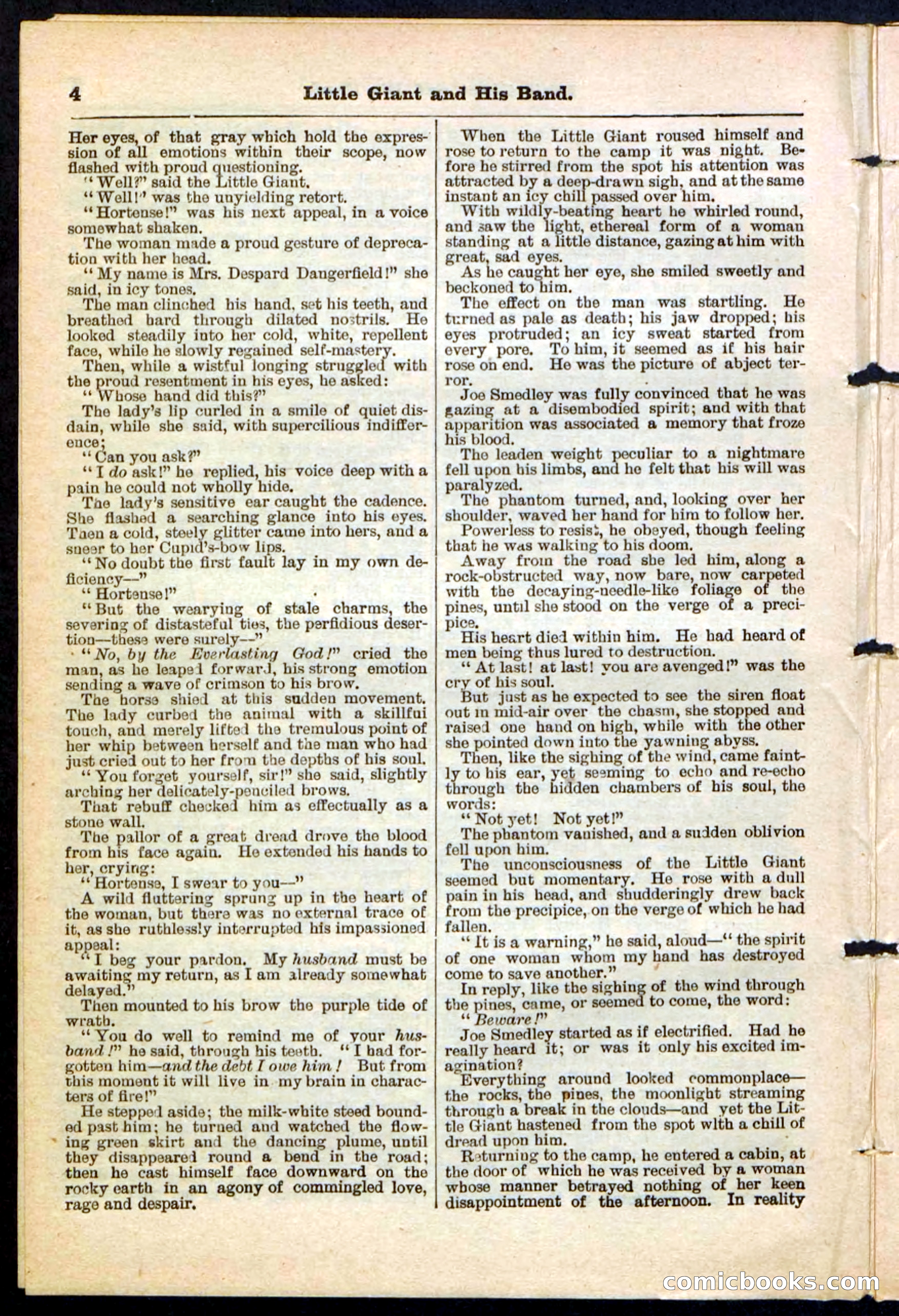 Beadle's Pocket Library No. 211 — page 4 of 32