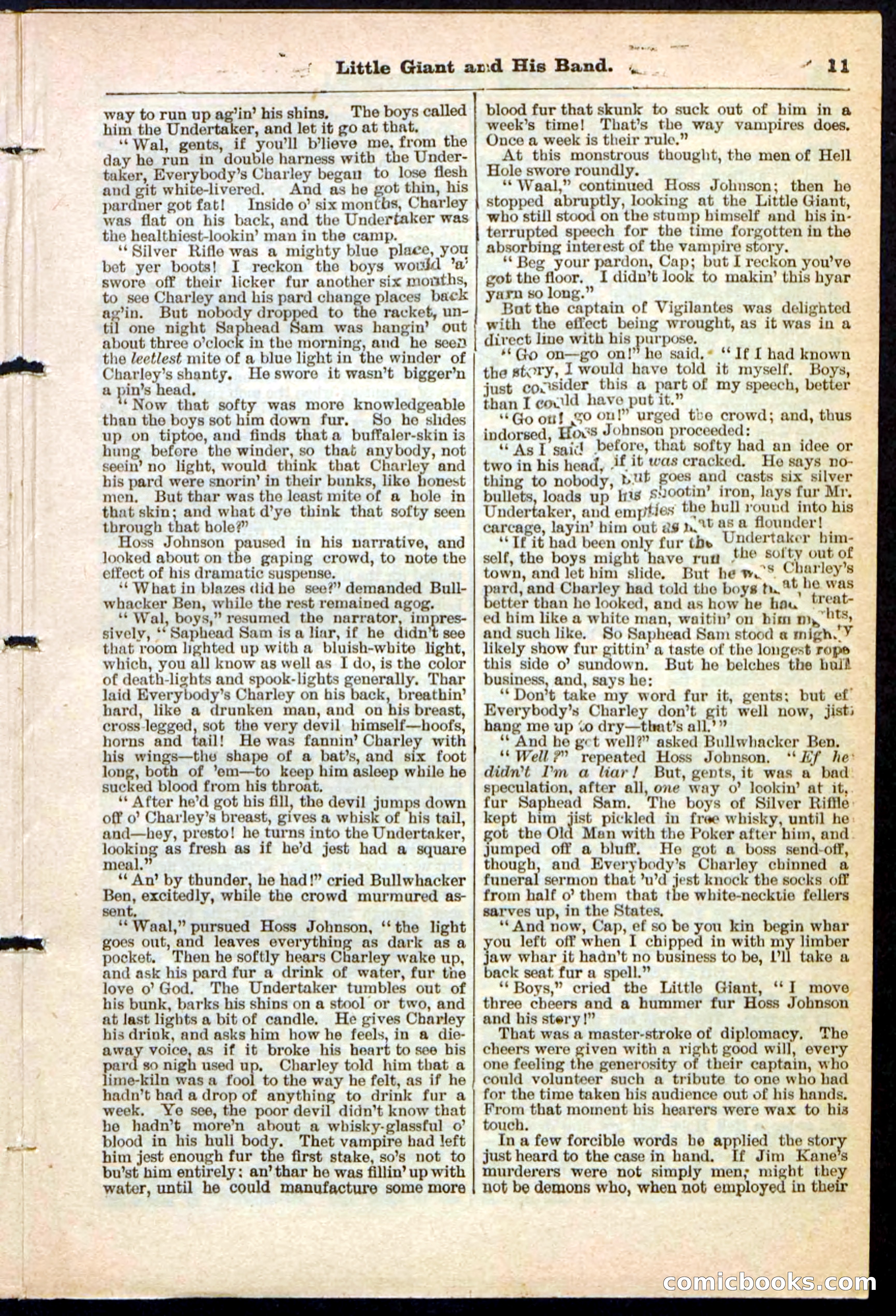 Beadle's Pocket Library No. 211 — page 11 of 32