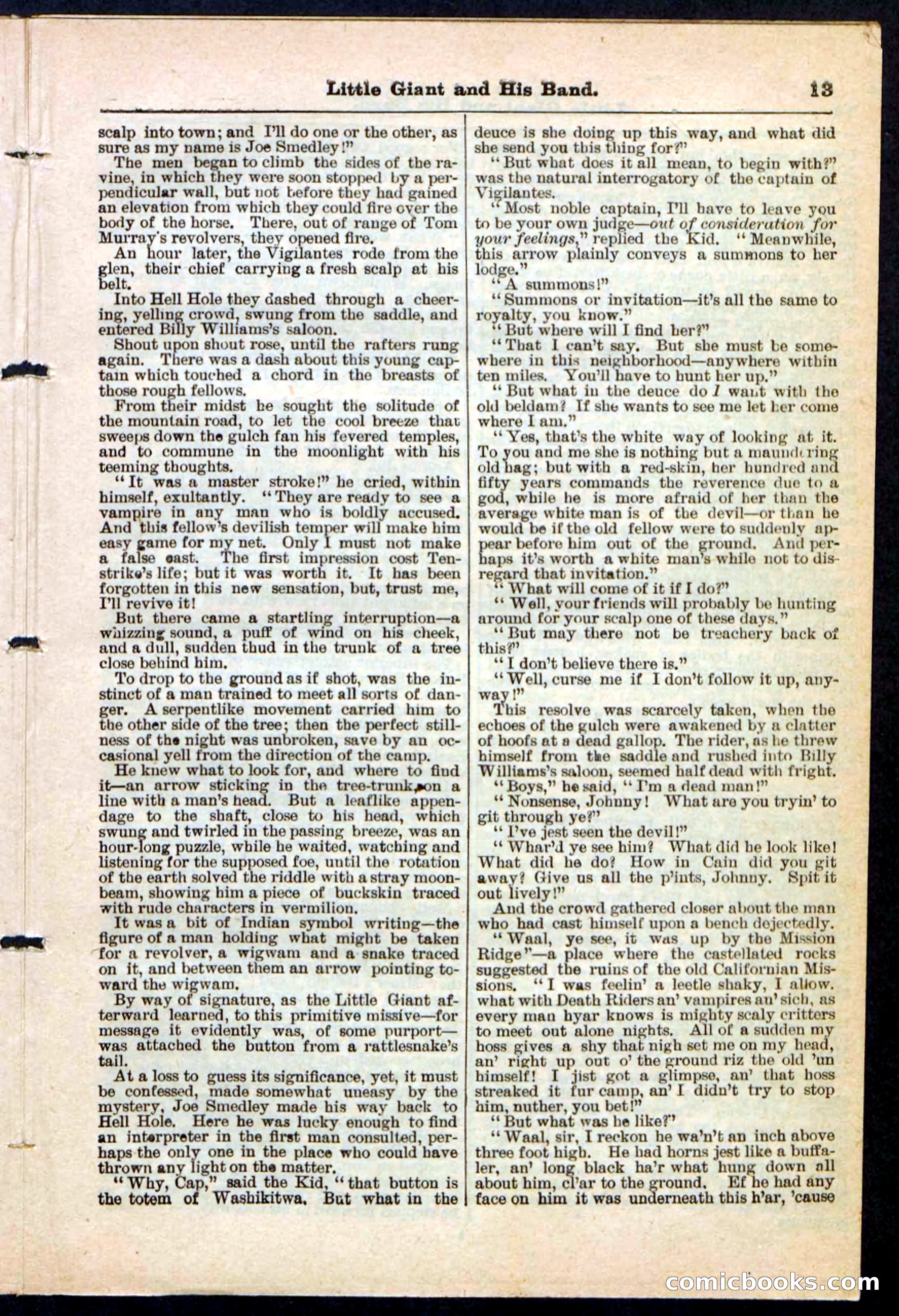 Beadle's Pocket Library No. 211 — page 13 of 32
