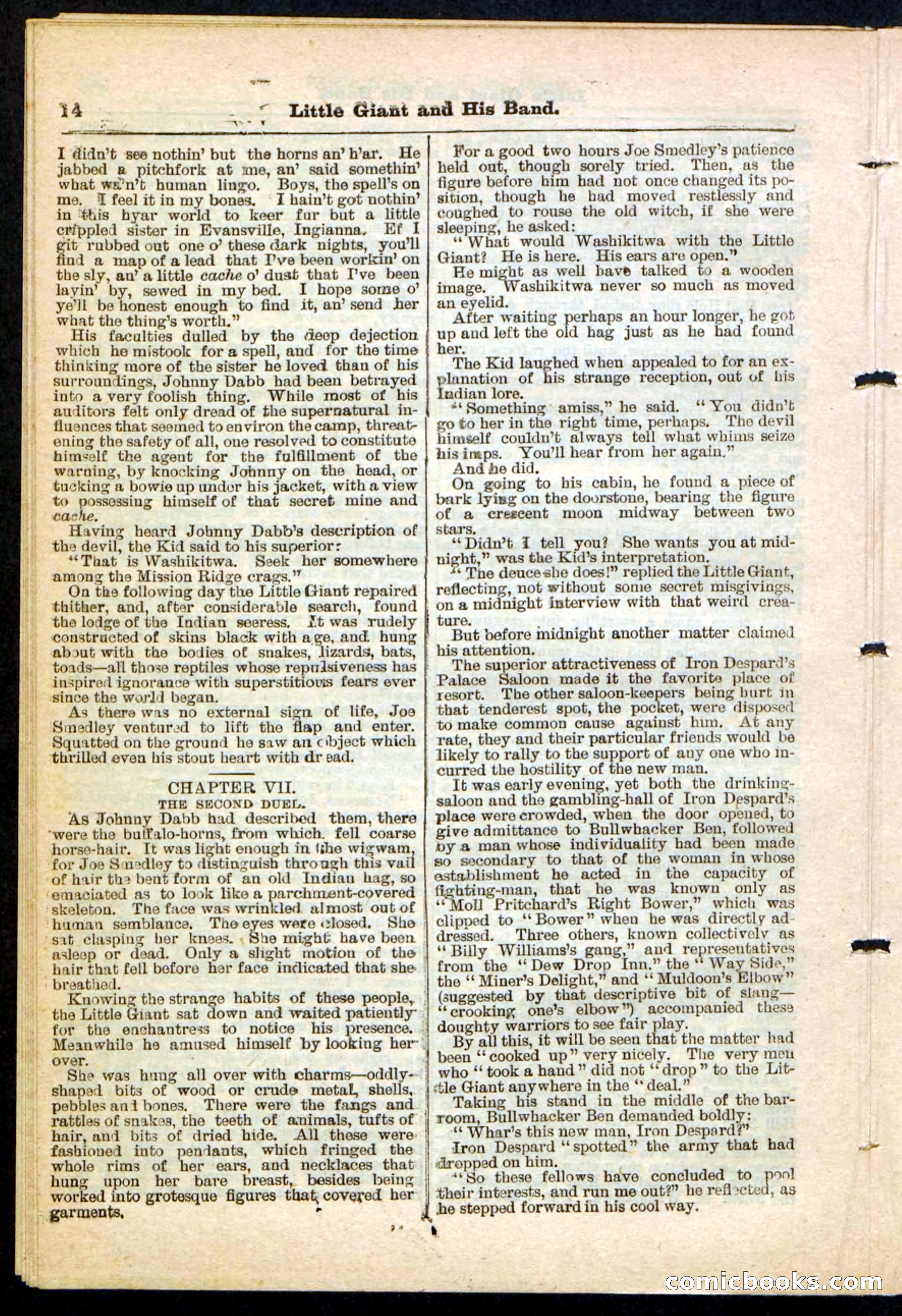 Beadle's Pocket Library No. 211 — page 14 of 32