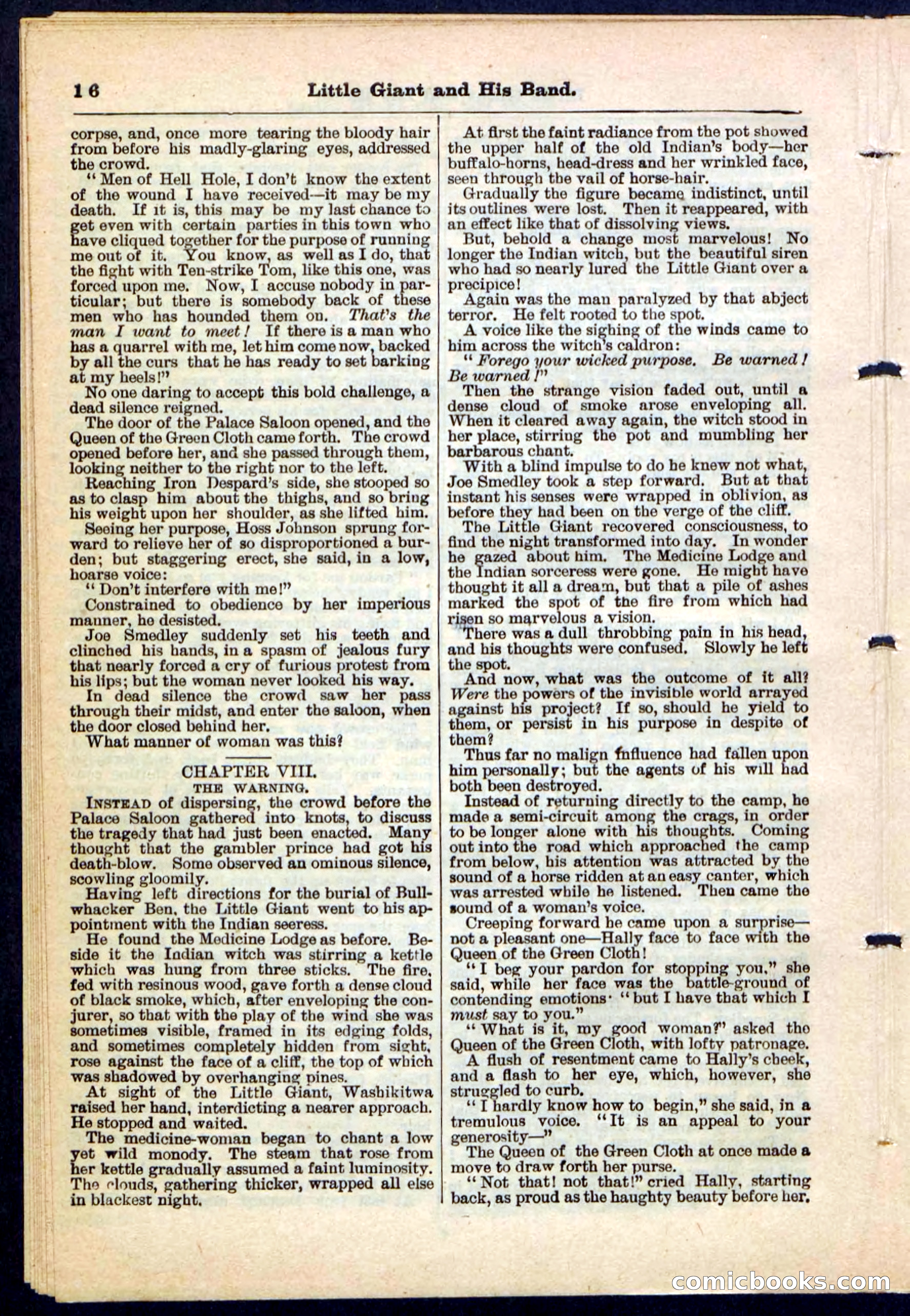 Beadle's Pocket Library No. 211 — page 16 of 32
