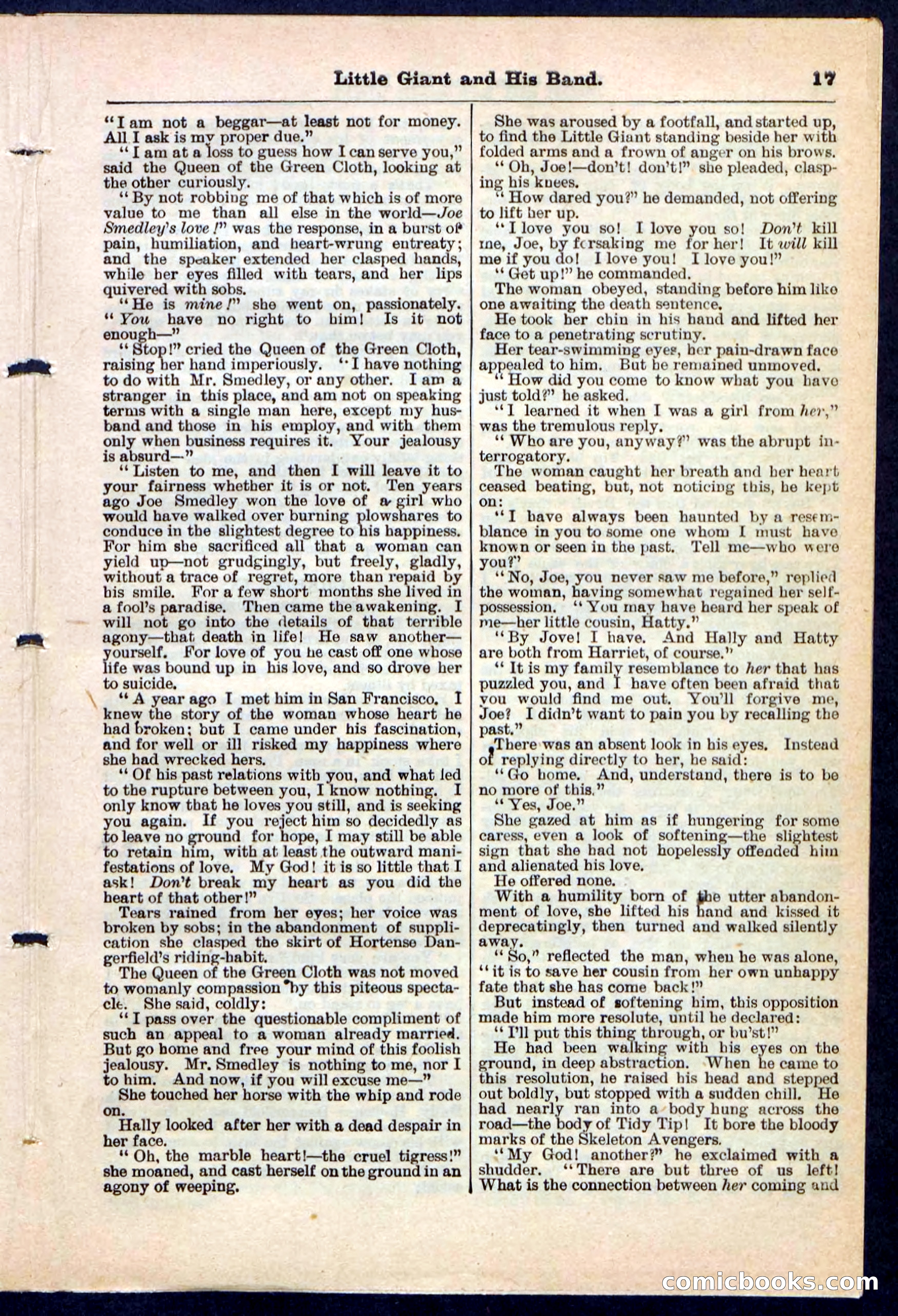 Beadle's Pocket Library No. 211 — page 17 of 32