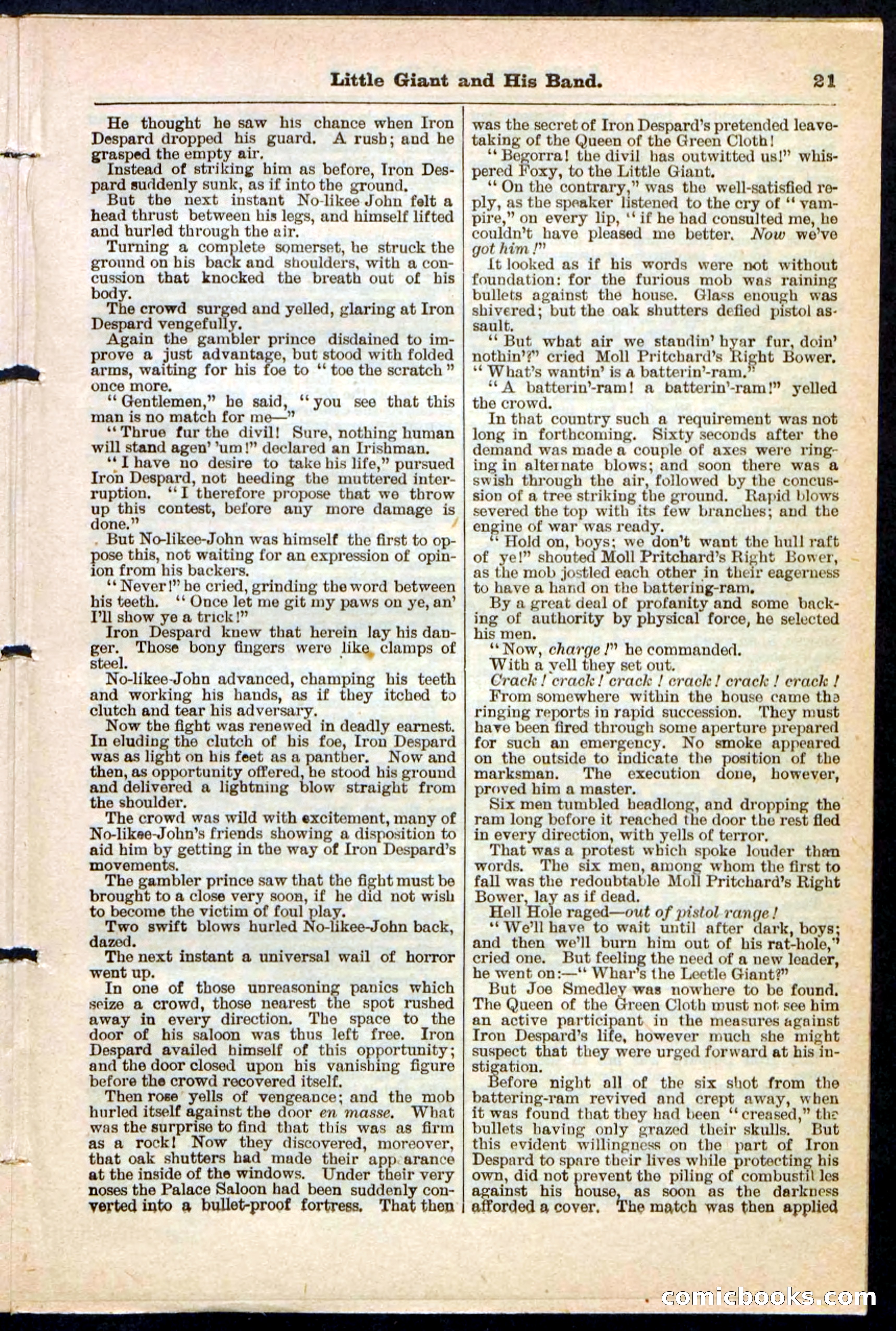 Beadle's Pocket Library No. 211 — page 21 of 32