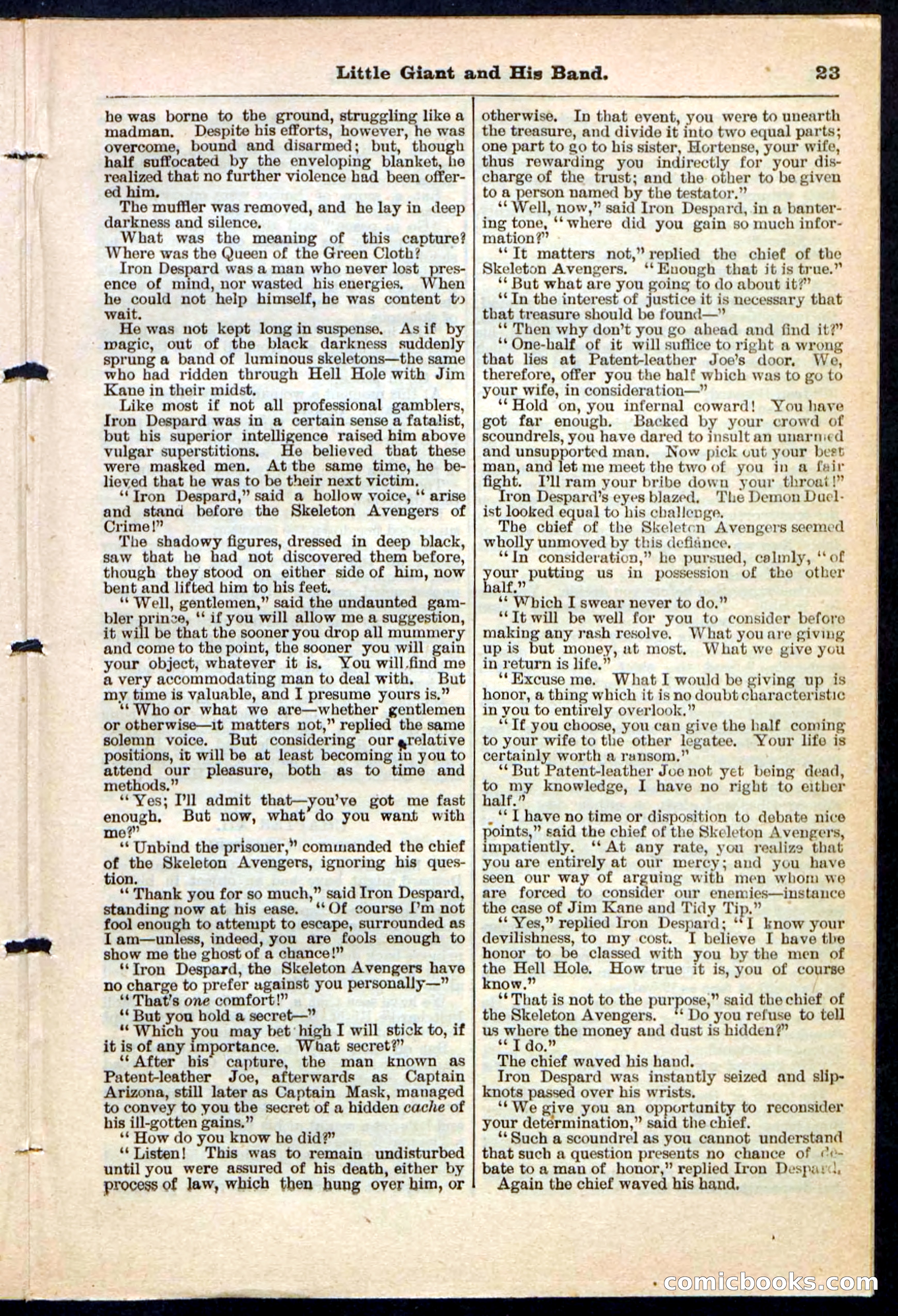 Beadle's Pocket Library No. 211 — page 23 of 32