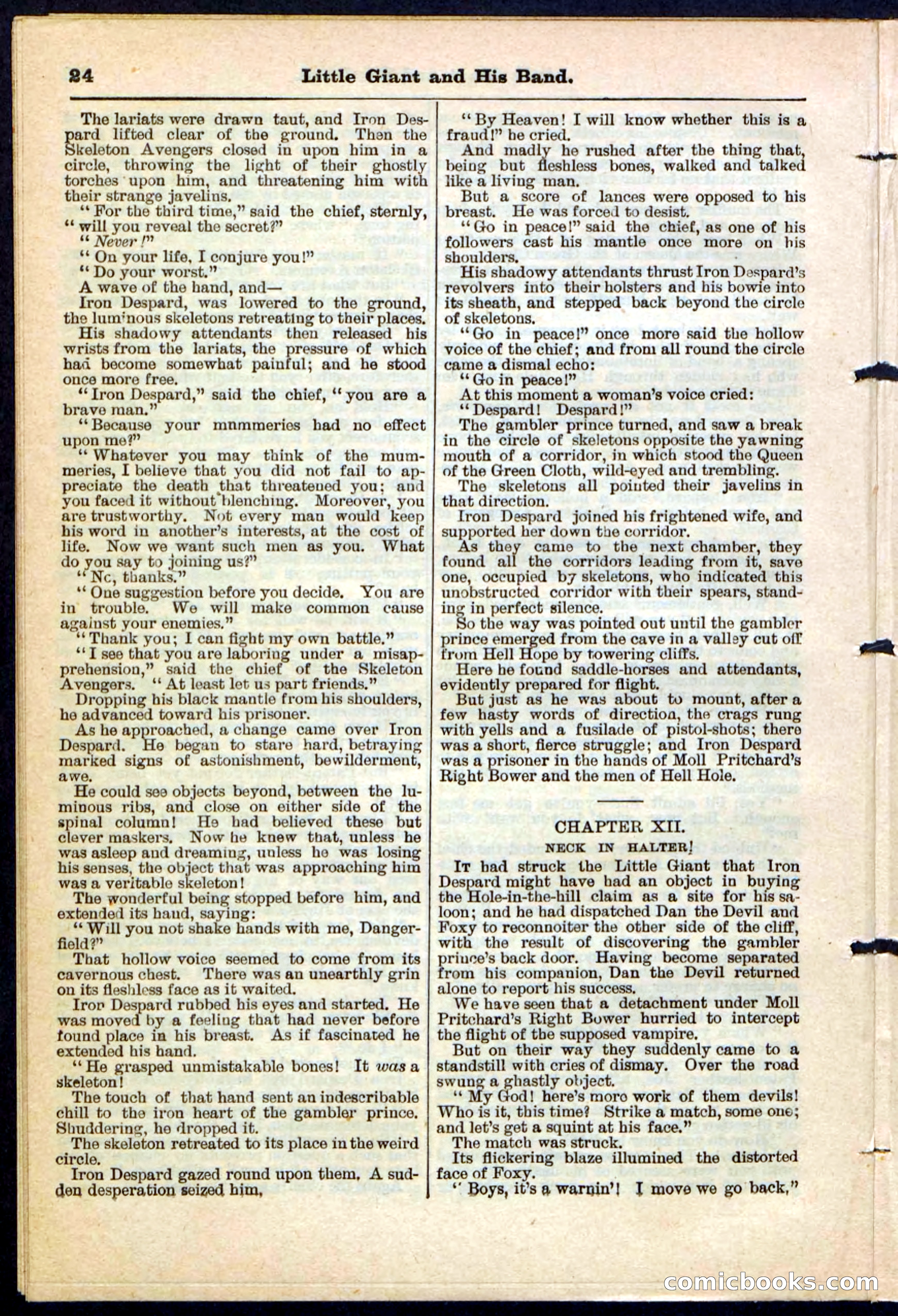 Beadle's Pocket Library No. 211 — page 24 of 32
