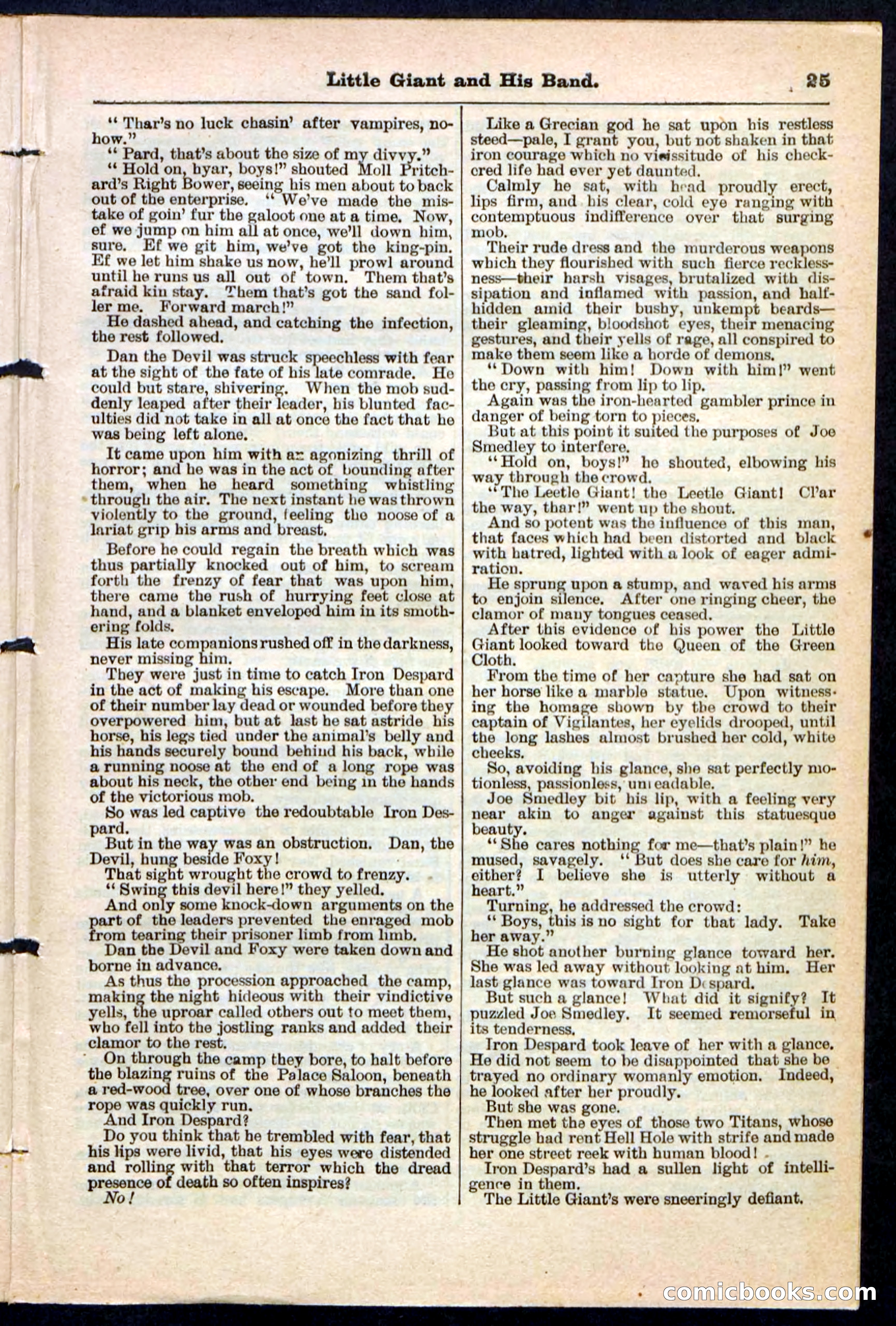 Beadle's Pocket Library No. 211 — page 25 of 32