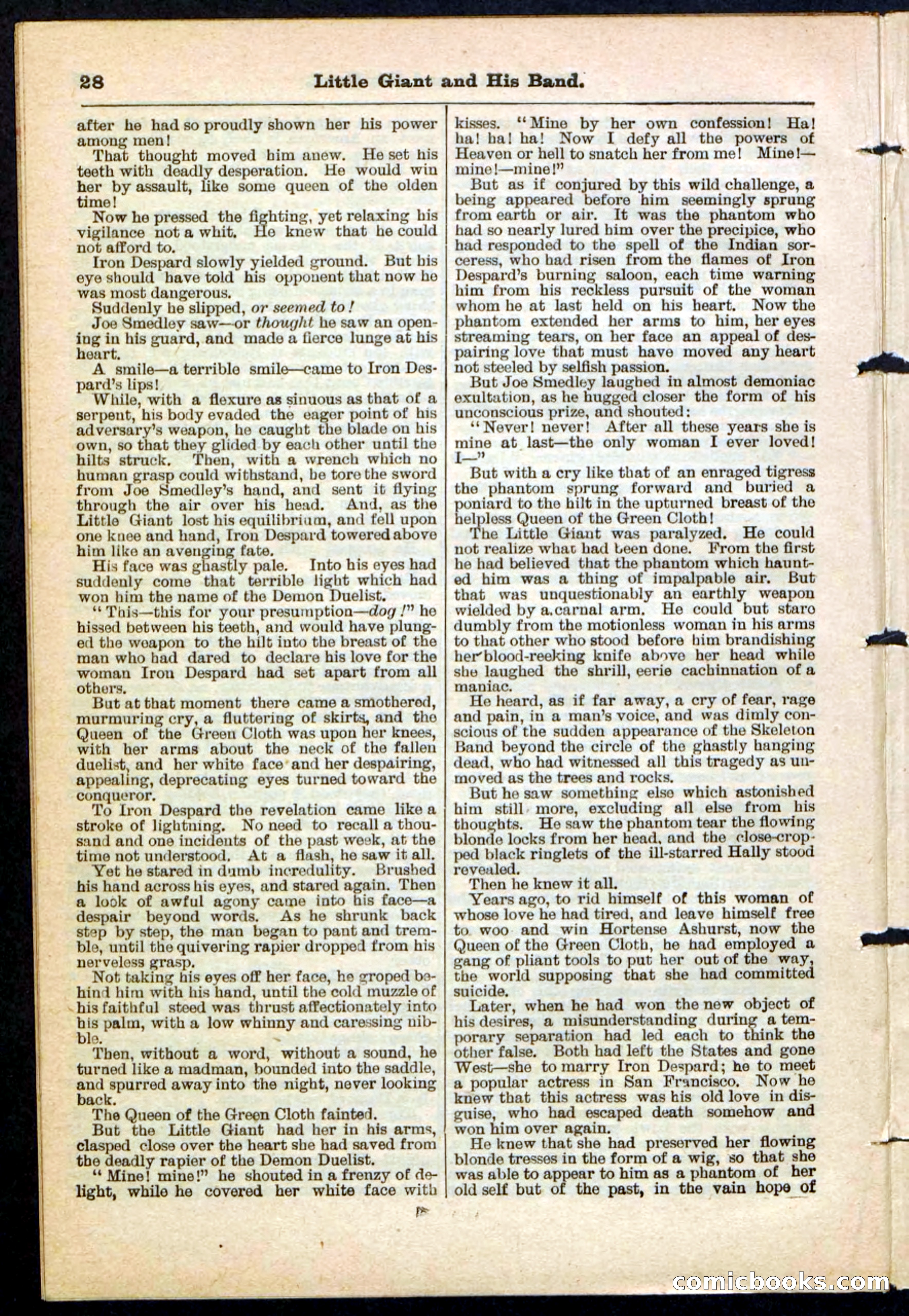 Beadle's Pocket Library No. 211 — page 28 of 32