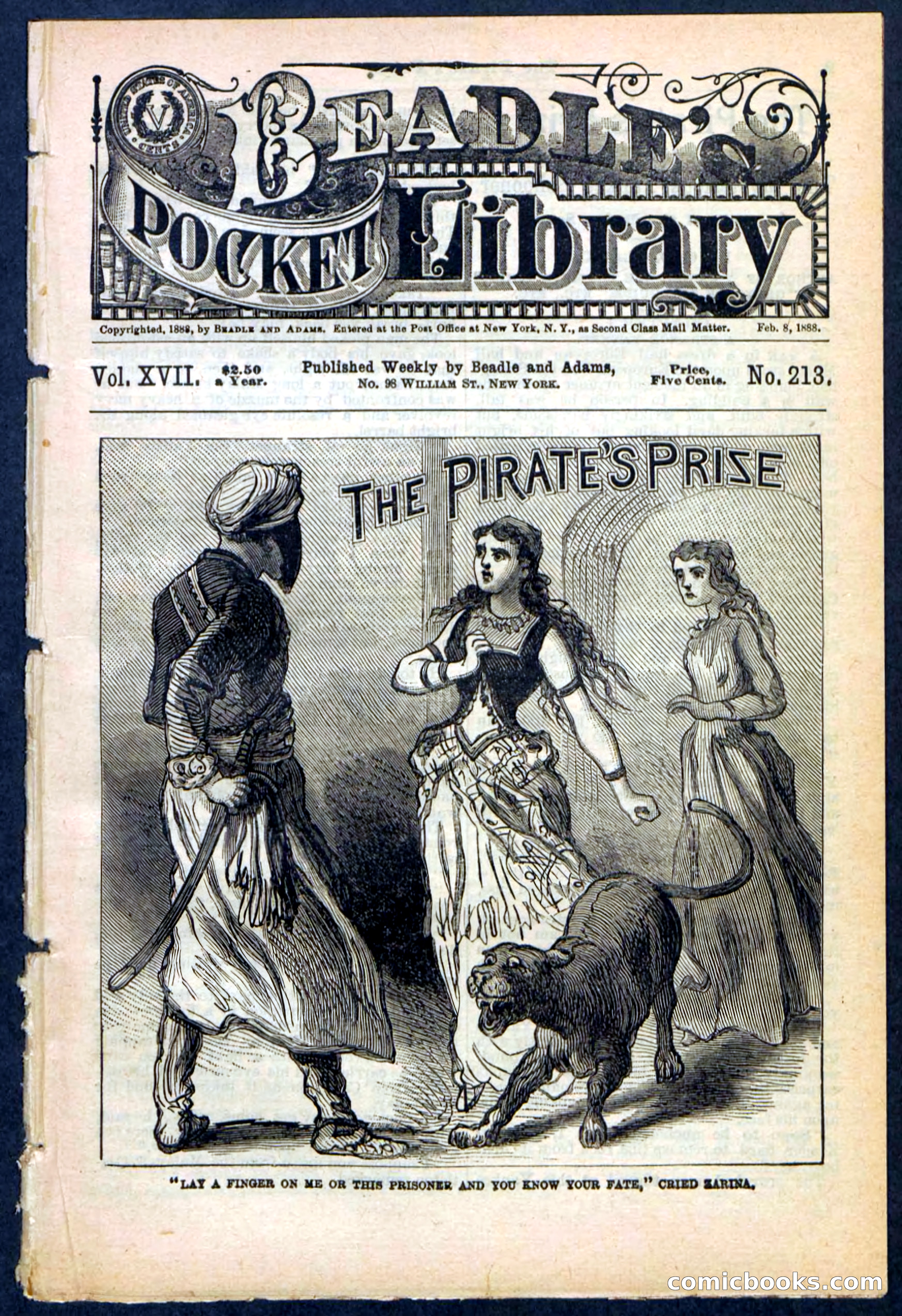 Beadle's Pocket Library No. 213: The Pirate's Prize — page 1 of 32