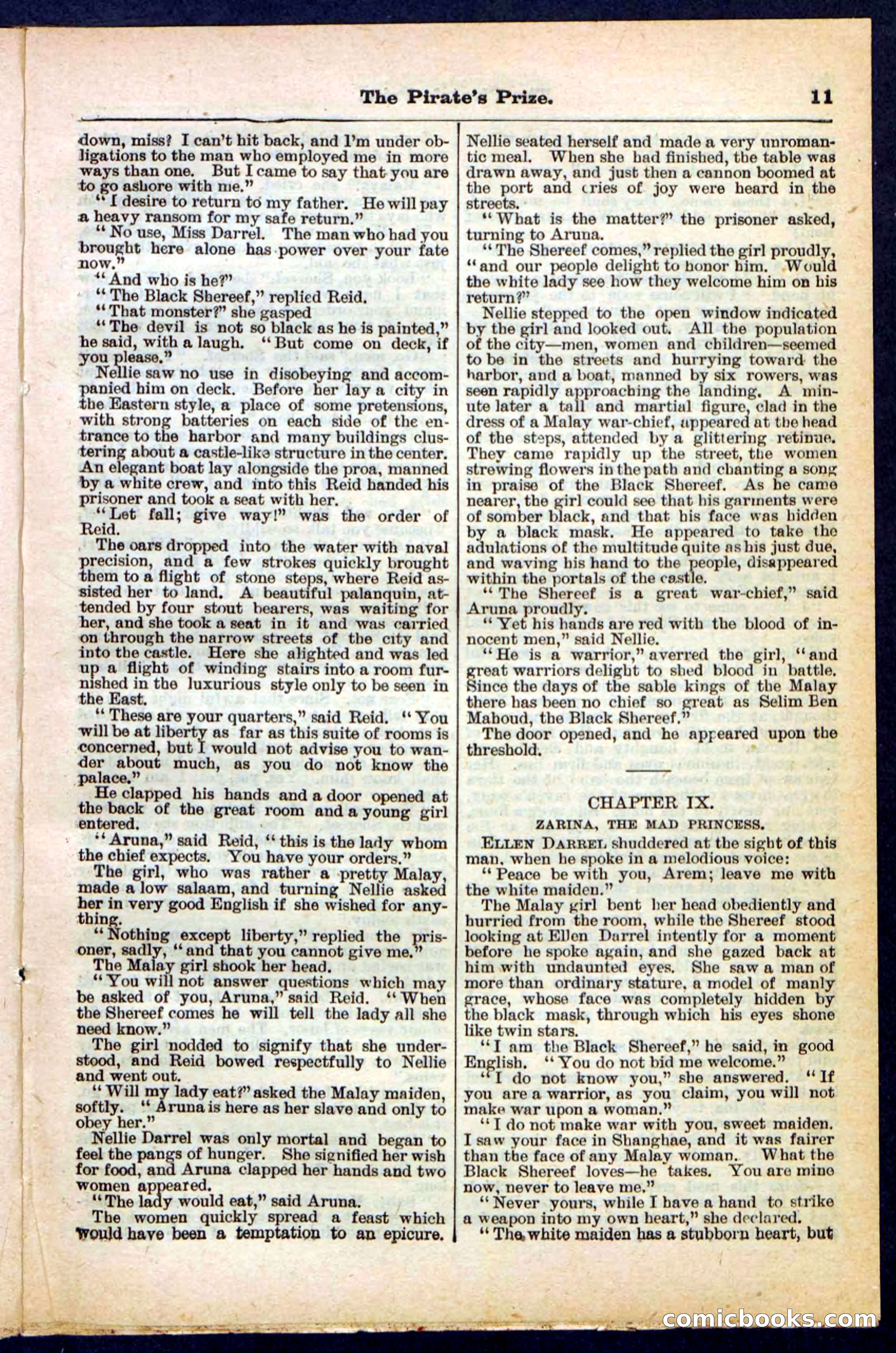 Beadle's Pocket Library No. 213: The Pirate's Prize — page 11 of 32