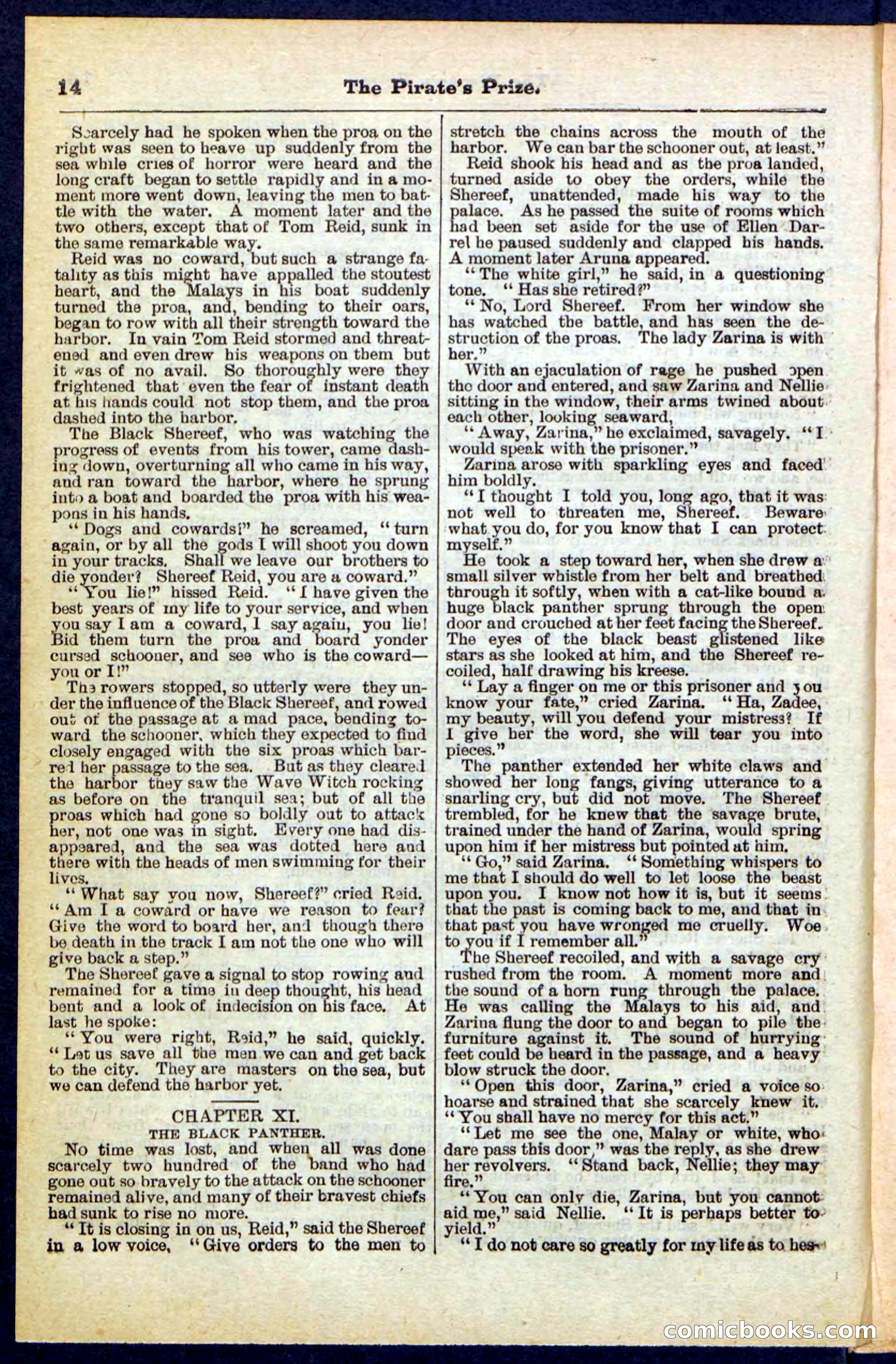 Beadle's Pocket Library No. 213: The Pirate's Prize — page 14 of 32