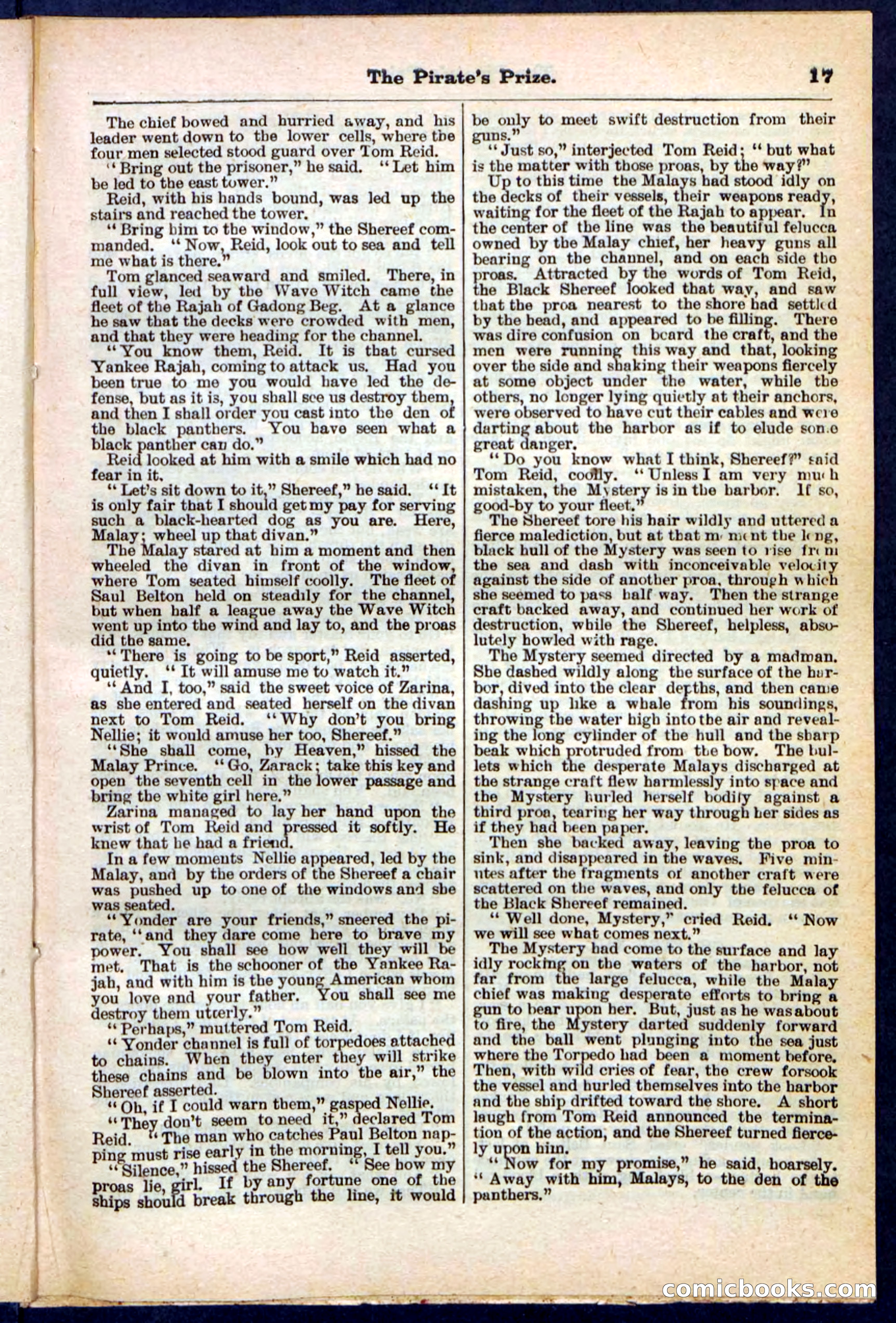 Beadle's Pocket Library No. 213: The Pirate's Prize — page 17 of 32