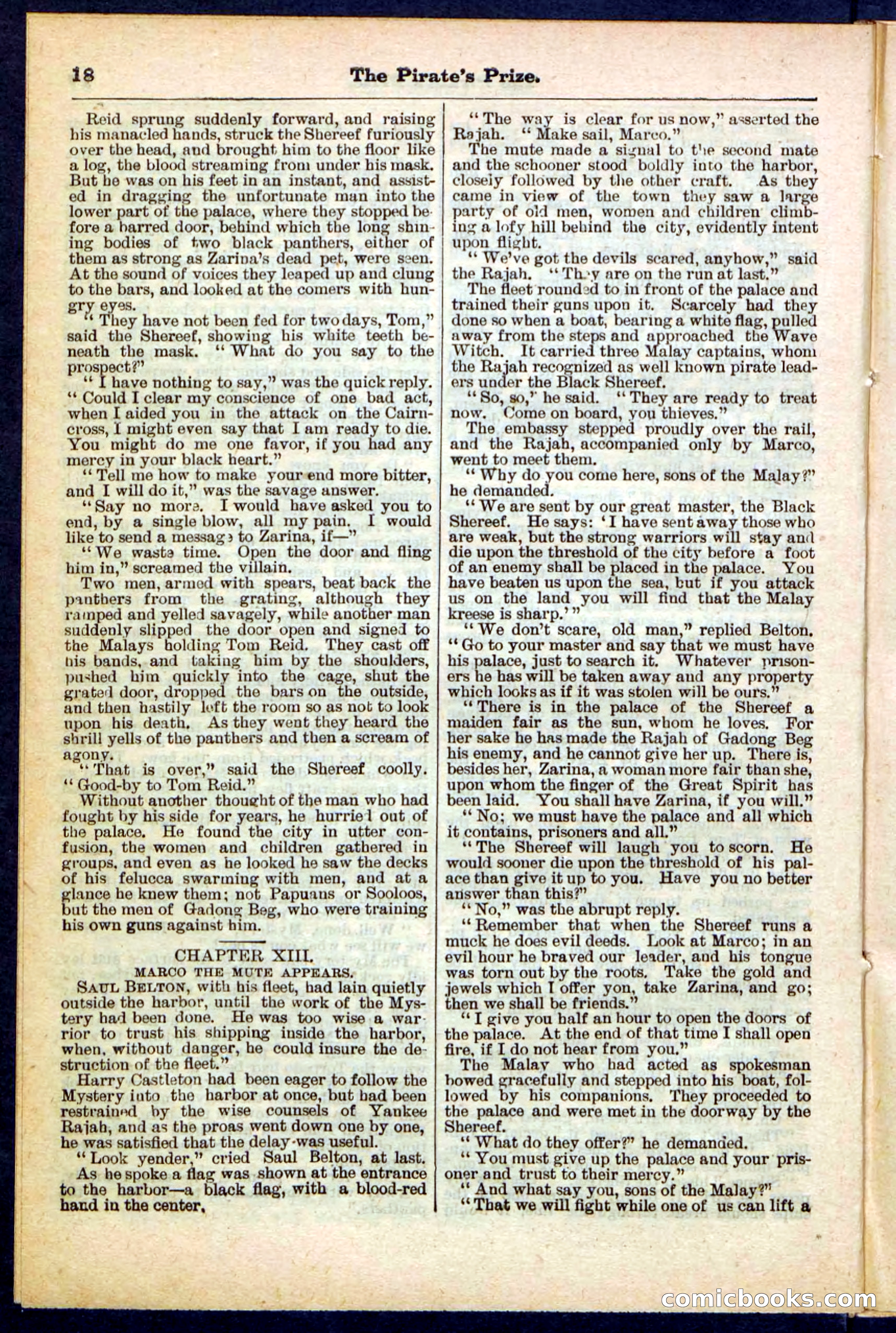 Beadle's Pocket Library No. 213: The Pirate's Prize — page 18 of 32