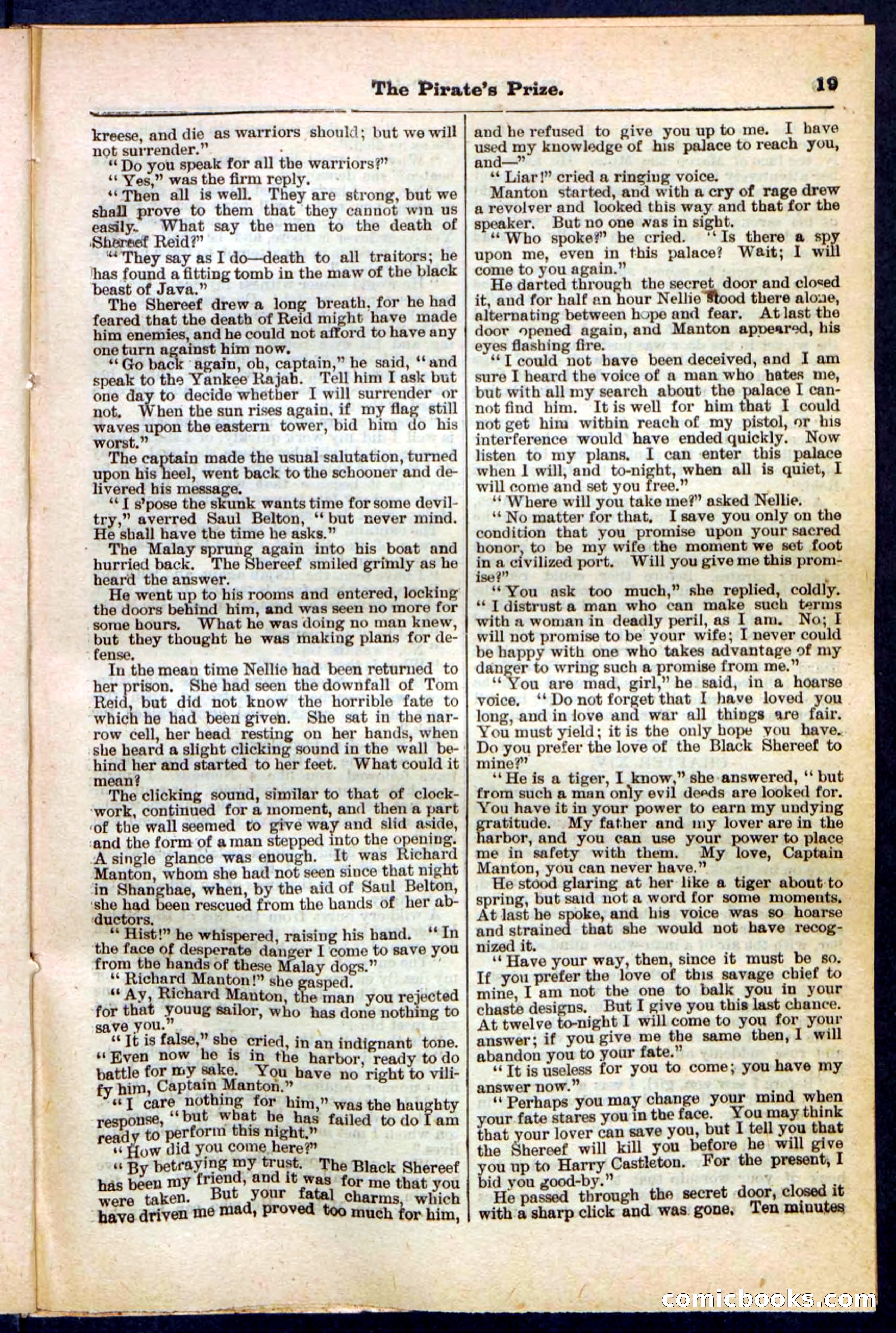 Beadle's Pocket Library No. 213: The Pirate's Prize — page 19 of 32